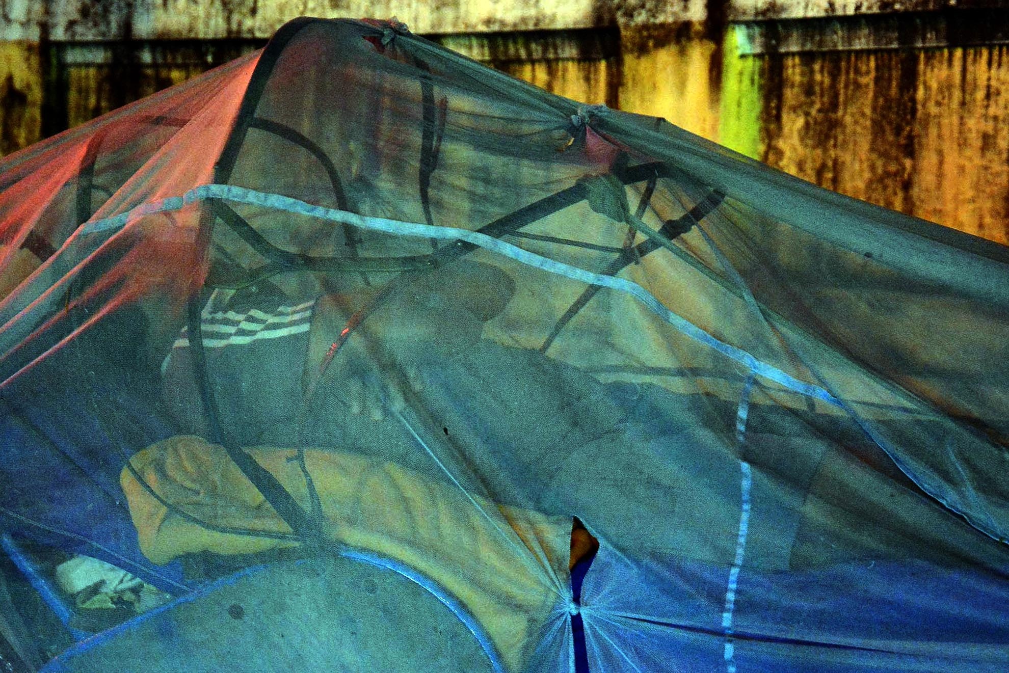 Theo dự báo, do ảnh hưởng không khí lạnh tăng cường từ phía Bắc nên trong một vài ngày tới, nhiệt độ vùng Nam Bộ giảm 2-3 độ C, ở mức trên dưới 20 độ, lạnh nhất từ đầu mùa khô đến giờ.