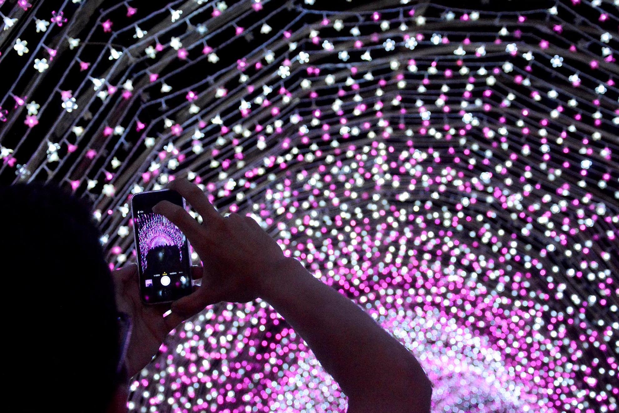 Bạn trẻ tranh thủ ghi lại khoảng khắc đáng nhớ.