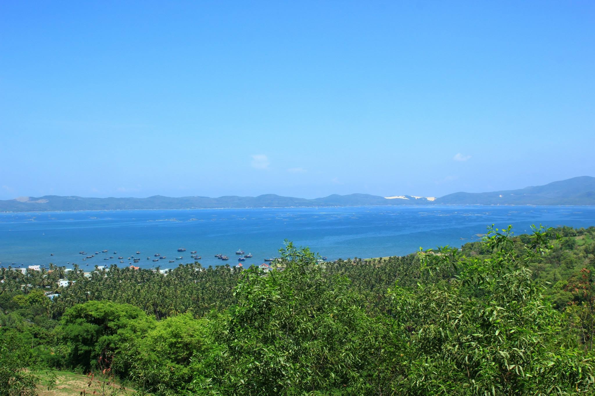 Vịnh Xuân Đài Có vị trí địa lý từ mũi Lưỡi Cày tới hải đăng Gành Đèn. Vịnh Xuân Đài có nhiều bãi tắm đẹp như bãi Ôm, bãi tắm Sông Cầu… Là vịnh có ảnh hưởng kinh tế lớn với sự phát triển của thị xã Sông Cầu đang vươn mình.