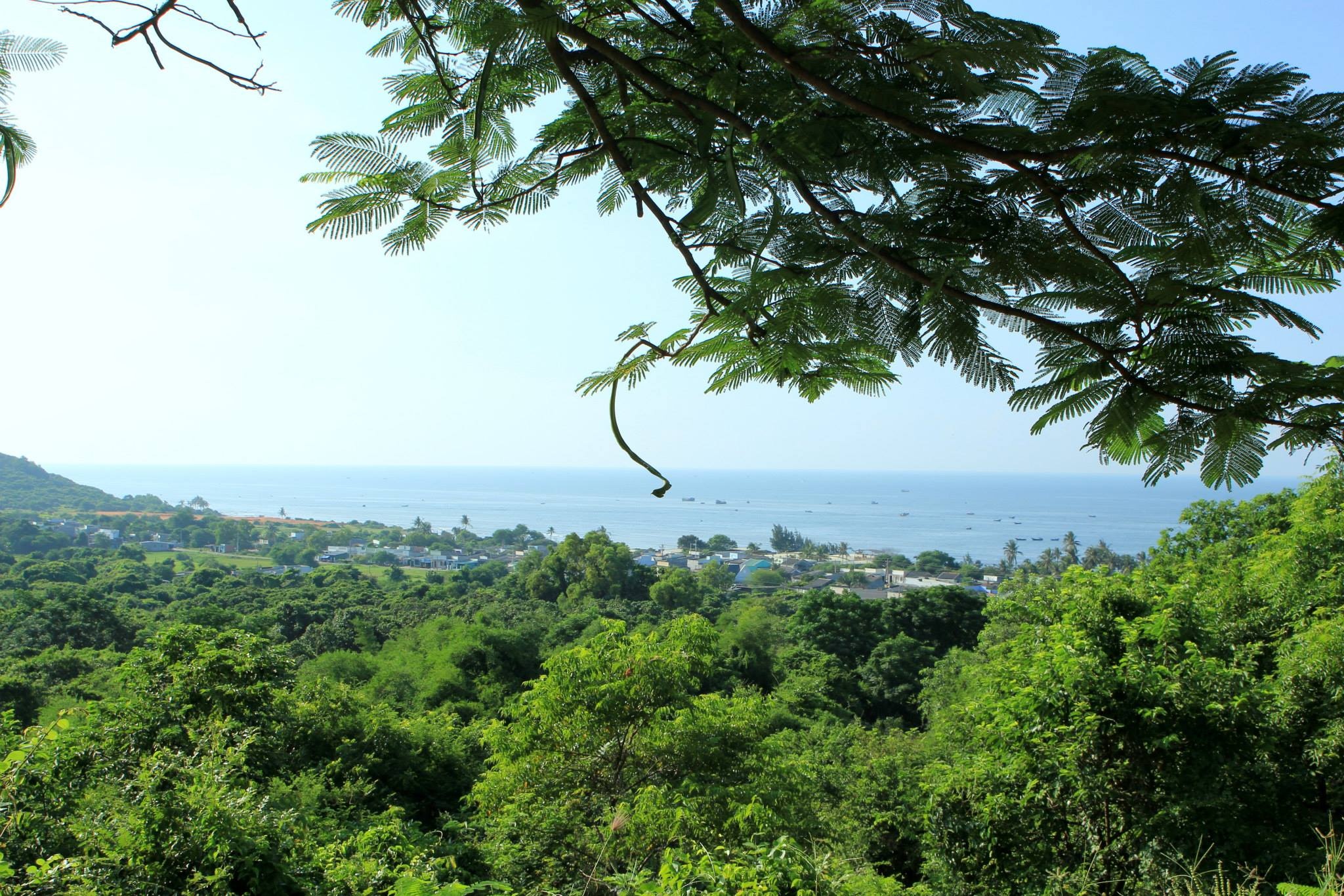 Vịnh Phan Thiết Một trong những vịnh có nhiều bãi biển và điểm du lịch nổi tiếng nhất của dải đất Nam Trung Bộ. Kéo dài từ mũi Né tới mũi Kê Gà, vịnh Phan Thiết là nguồn kinh tế chủ đạo của Bình Thuận về du lịch và đánh bắt hải sản. Với thiên đường resort Mũi Né, các điểm du lịch Kê Gà, Phú Hài… là những điểm đến không thể bỏ qua.