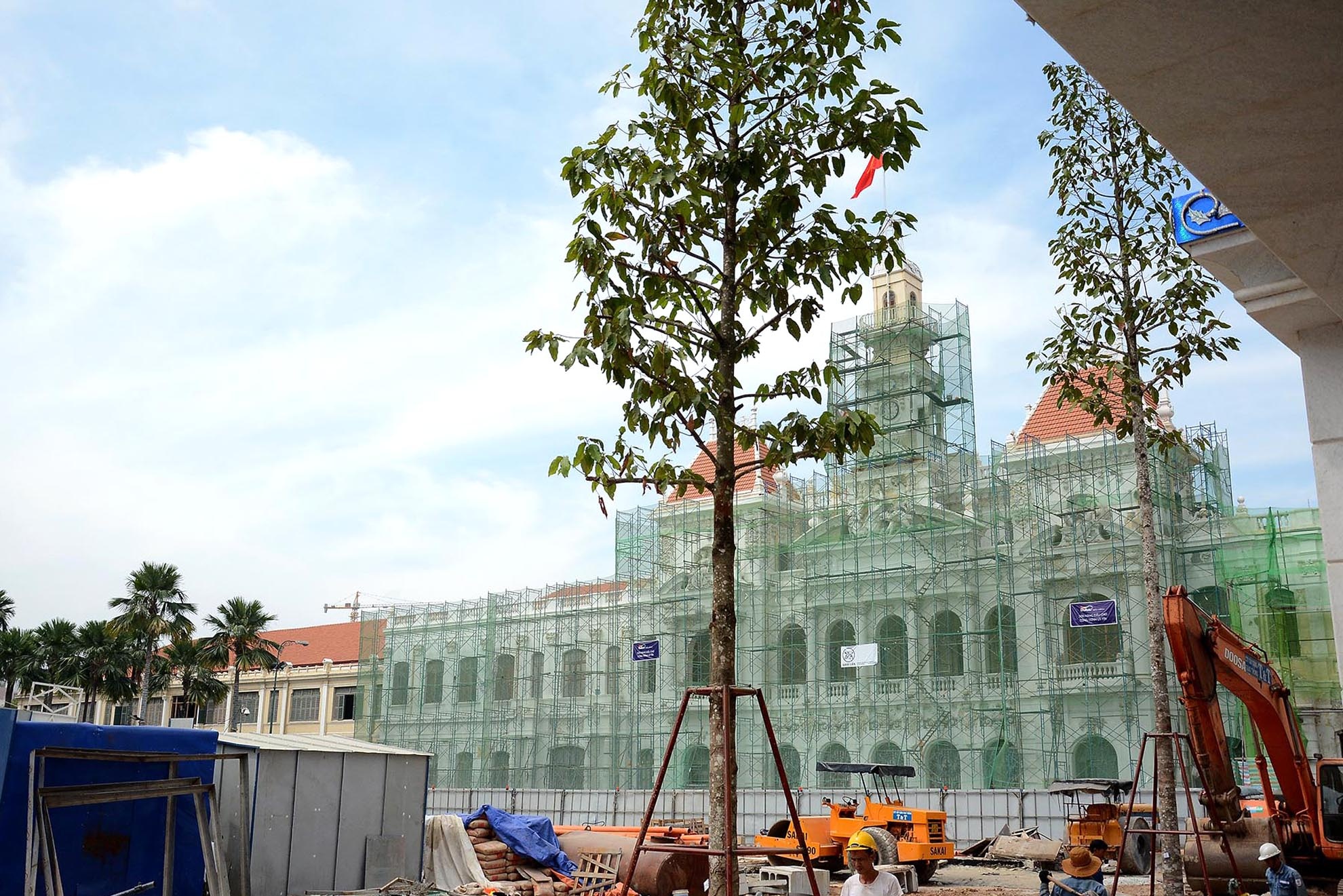 Dọc vỉa hè hai bên đường Nguyễn Huệ (đoạn từ đường Lê Thánh Tôn đến đường Lê Lợi) được đơn vị thi công tiến hành trồng 18 cây dầu. Riêng phần cây xanh trên đoạn từ đường Lê Lợi đến đường Tôn Đức Thắng sẽ được thi công từ tháng 1 và hoàn thành trước ngày 15/2/2015.  