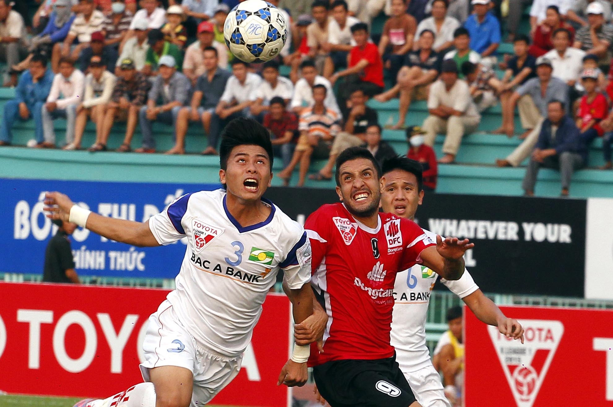 Tien dao tre Ho Phuc Tinh giup SLNA hoa DTLA hinh anh