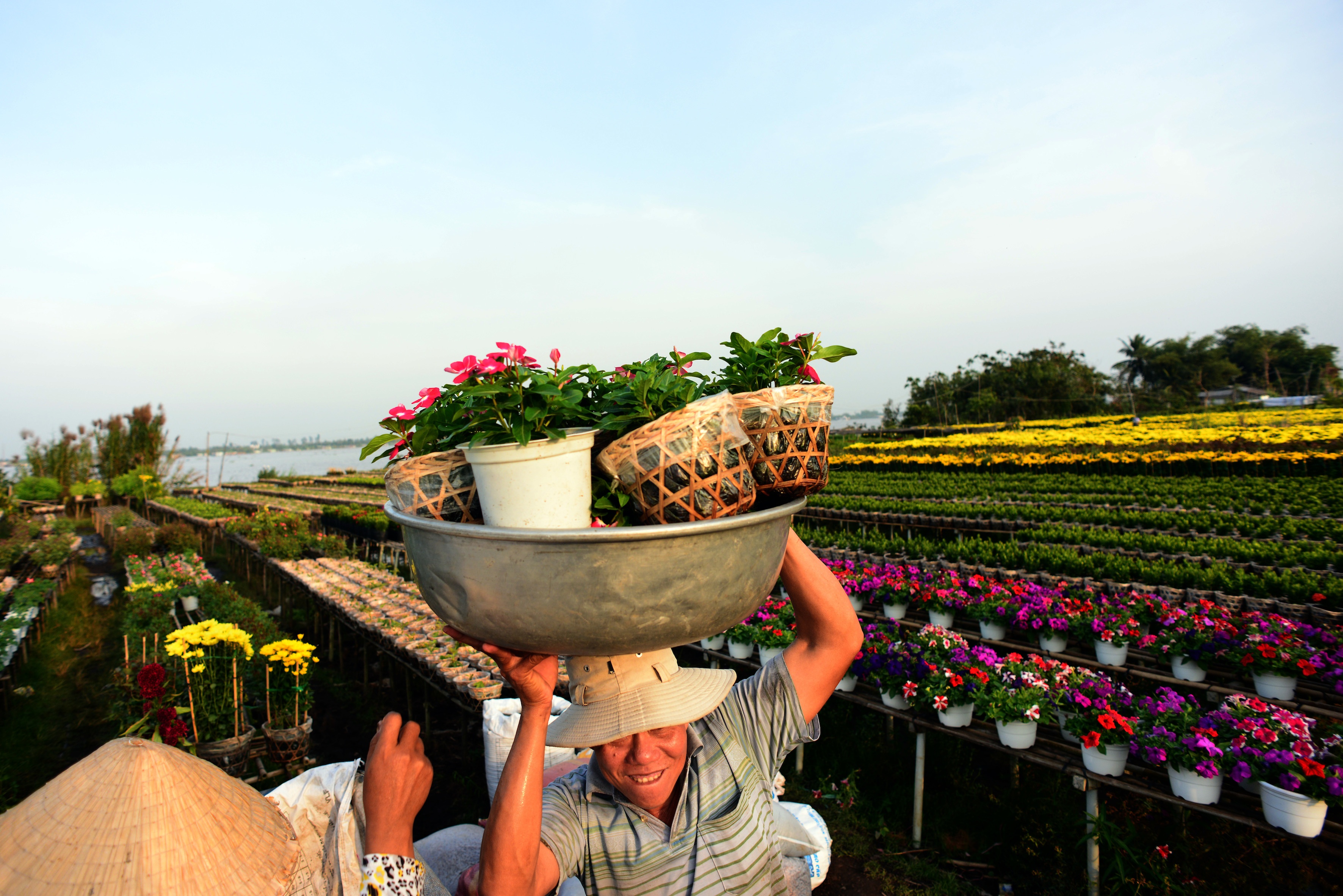 Cả năm người nông dân cực nhọc thì đây cũng là thời điểm gặt hái thành quả lao động.