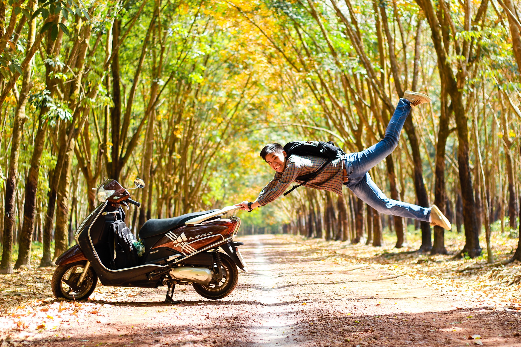 Rừng cao su đang vào mùa thay lá. Khung cảnh lãng mạn của mùa thu ngày giáp Tết đã làm cho những người yêu thích khám phá chỉ muốn 