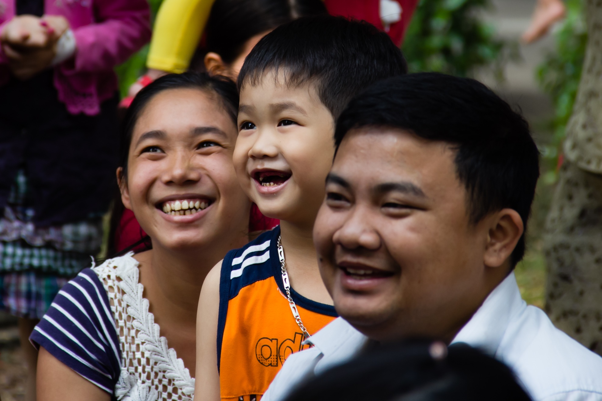 Nhập mô tả chlo ảnh