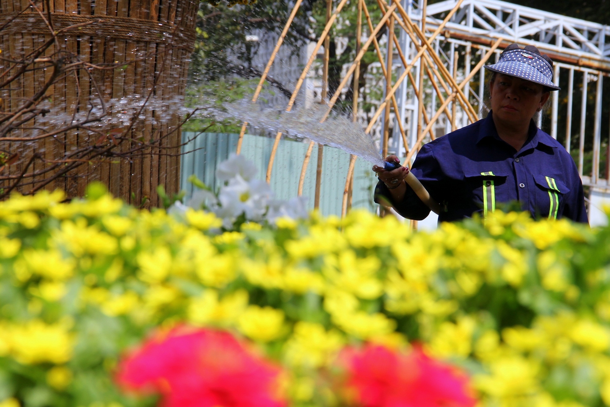 Để tưới mát hàng trăm ngàn chậu hoa các công nhân phải làm việc liên tục giữa trưa nắng gắt.