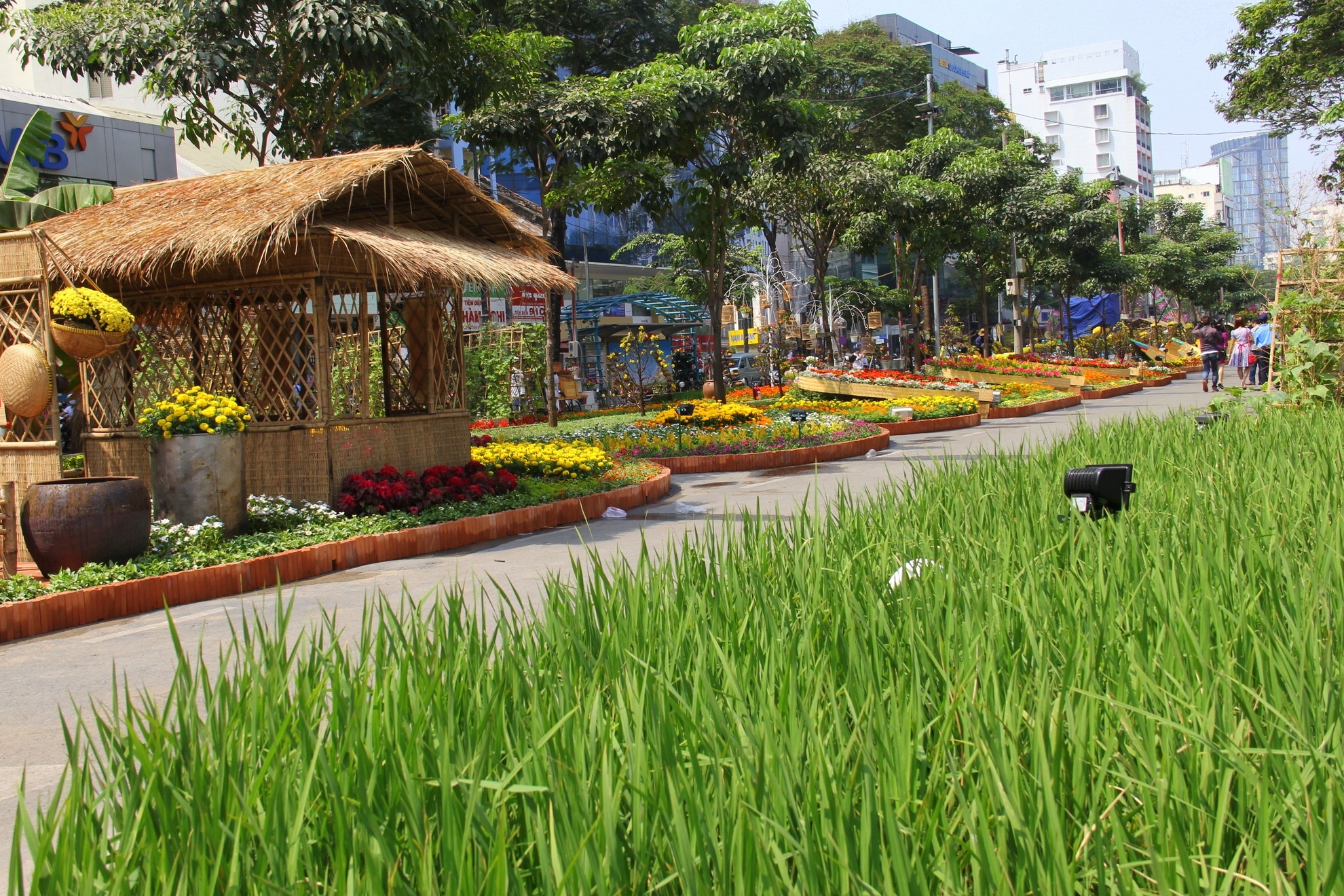 Việt Nam- Đất nước của nền văn minh lúa nước được tái hiện bằng những vuông ruộng lúa đang làm đòng thơm ngát.