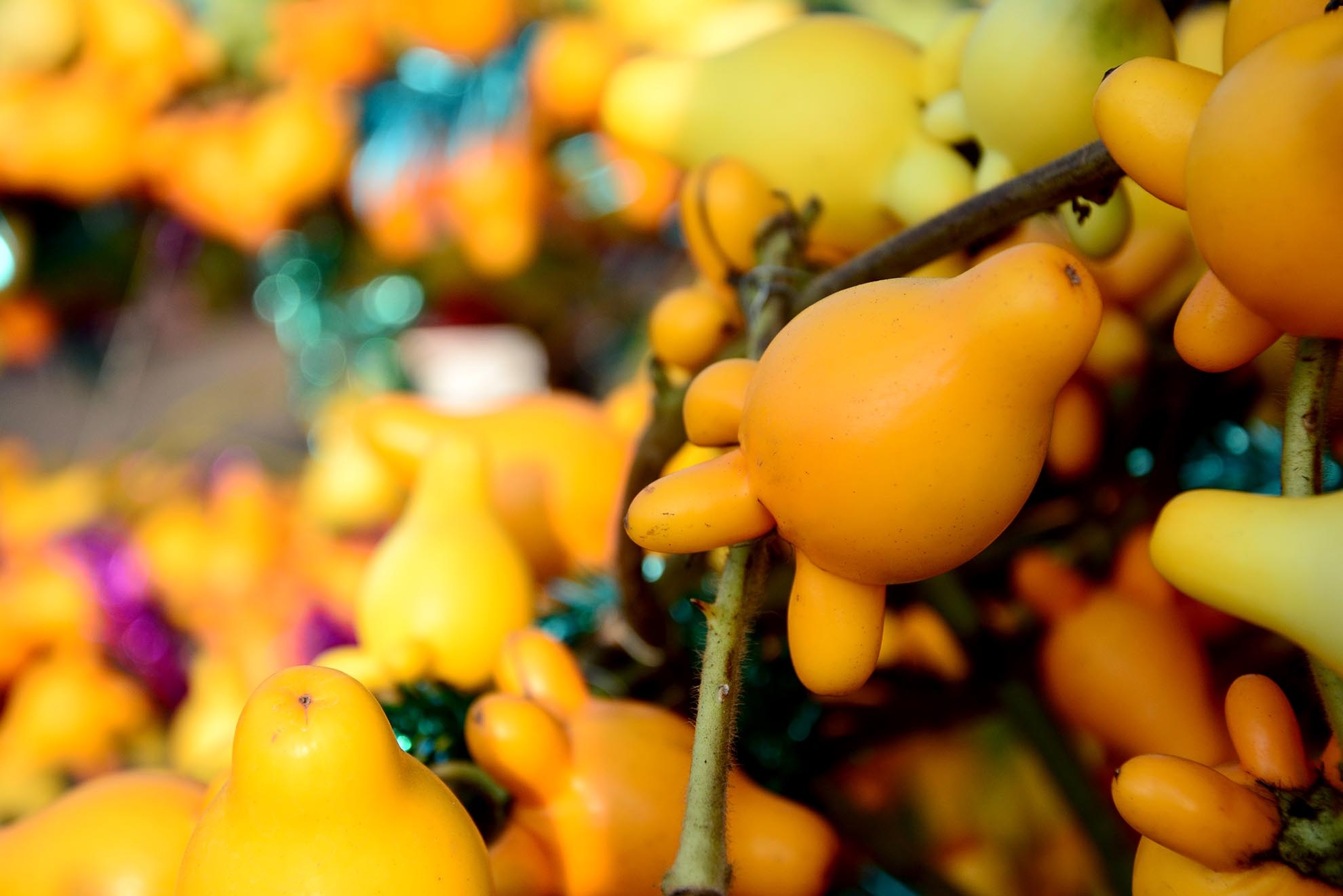 Khach Sai Gon tim mua trai du 'doc' chung Tet hinh anh