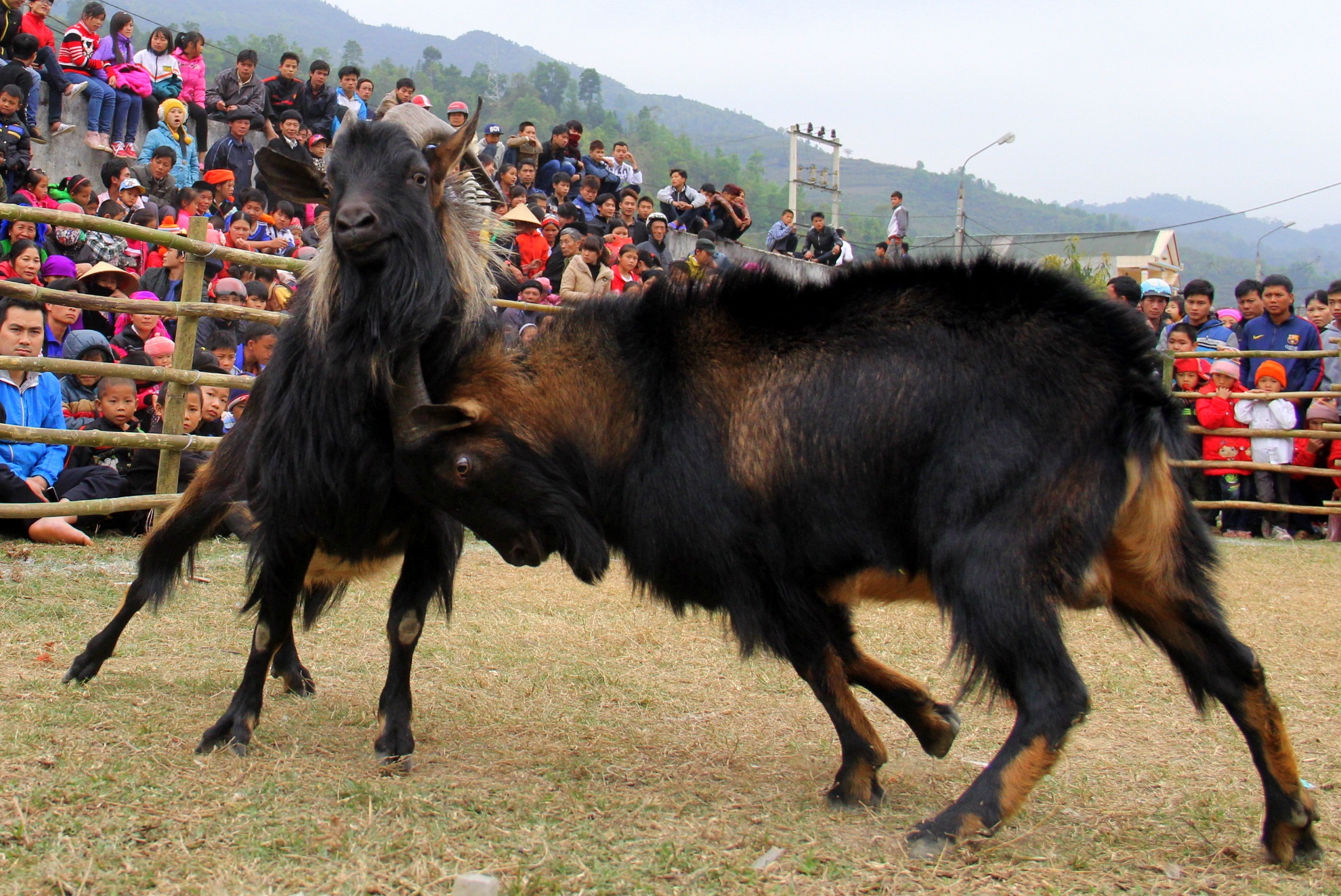 De bo sung dung manh trong le hoi o Ha Giang hinh anh