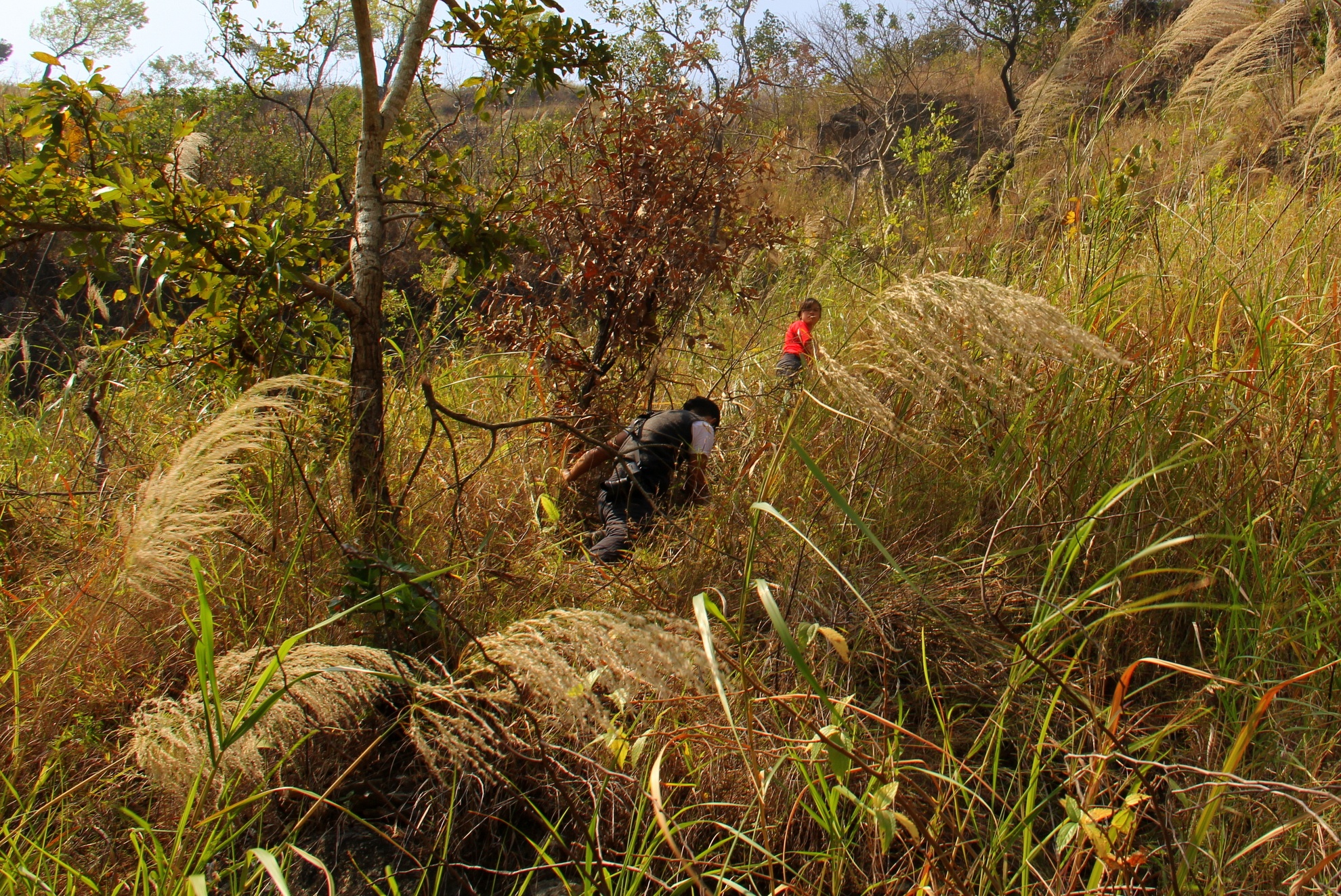 Từ đây, chúng tôi bỏ lại xe máy và bắt đầu leo bộ. Với những con dốc đổ dài, cả đoàn phải bám vào cỏ để leo xuống. Mặc dù đã có tìm hiểu trước thông tin về đường đi, thực tế khác xa rất nhiều và chúng tôi bị lạc, không tìm được con đường mòn mà người dân đã đi. Vậy là cả đoàn phải chọn giải pháp sẽ tuột theo triền dốc xuống lòng sông. 