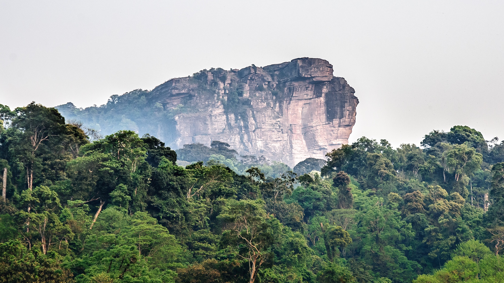 Nhập mô tả cho ảnxh