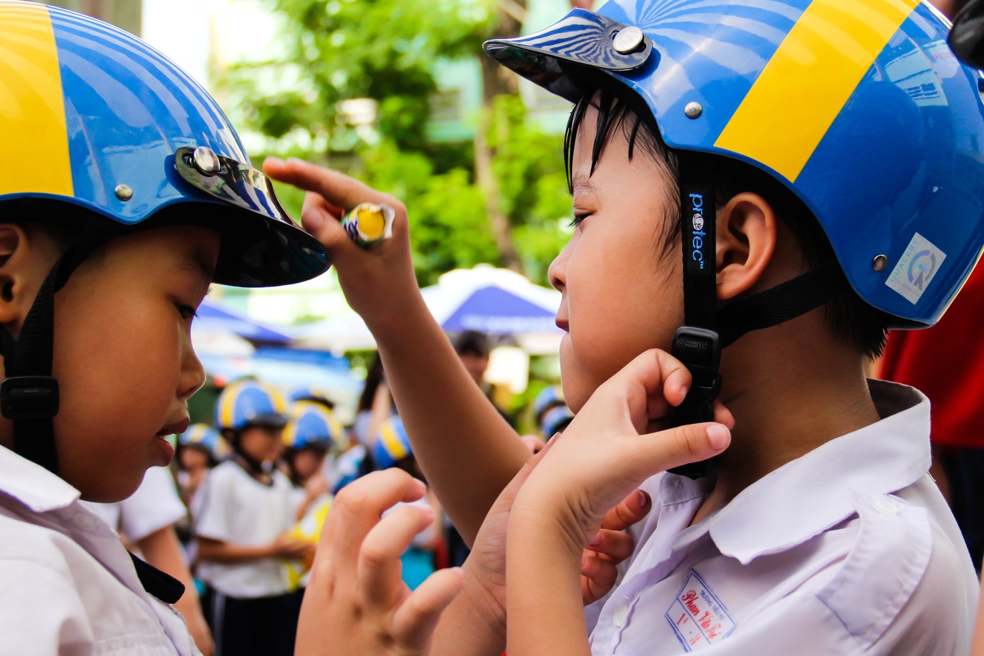 Dai su Thuy Dien tang 500 mu bao hiem cho hoc sinh tieu hoc hinh anh