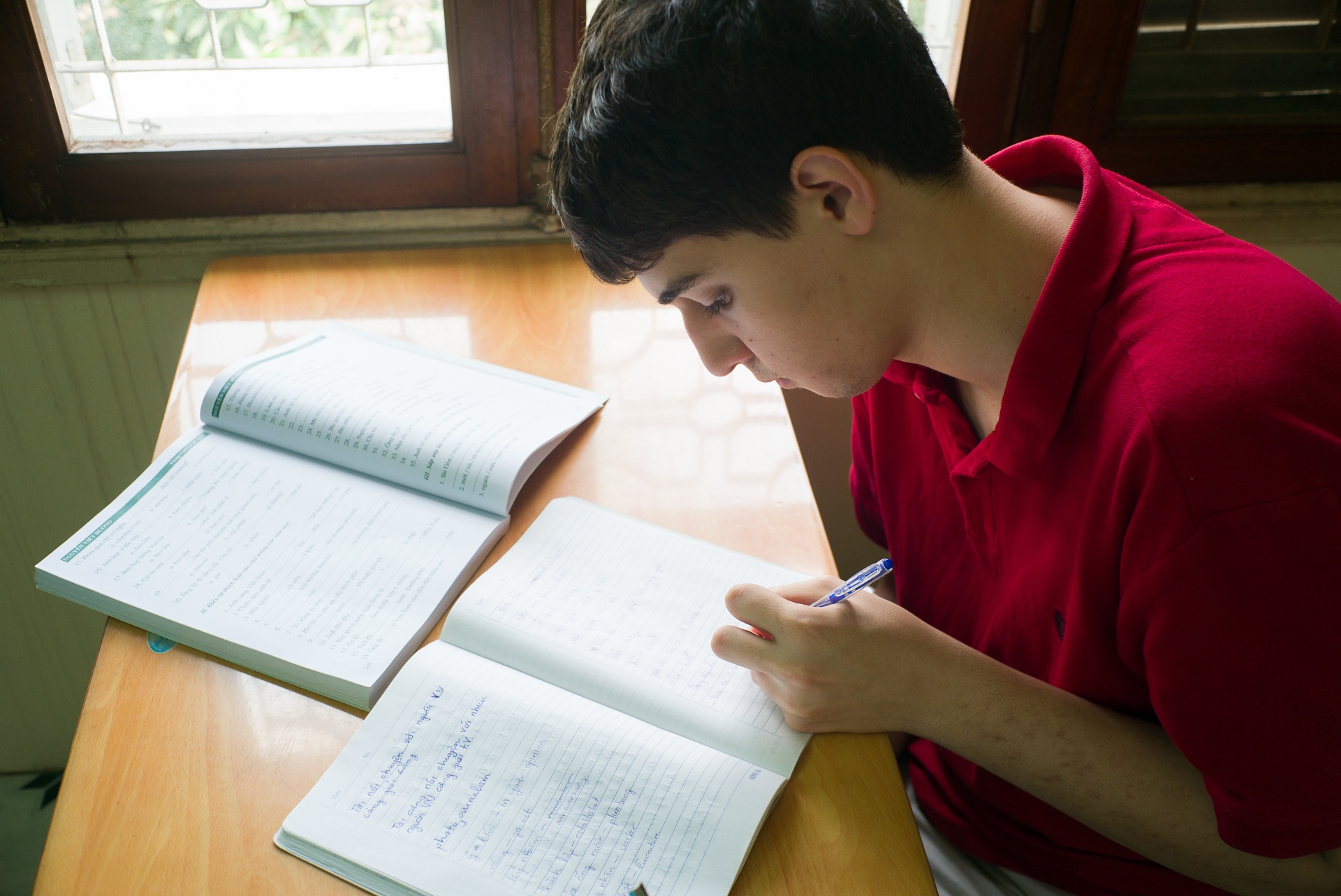 Không chỉ nổi bật với thành tích học vượt, James còn gây ấn tượng với khả năng sử dụng tốt 6 ngoại ngữ: Nga, Pháp, Tây Ban Nha, Arập, Hy Lạp và Latin. So với các ngôn ngữ đã biết thì với James, rào cản lớn nhất khi học tiếng Việt là thanh điệu, đặc biệt là thanh hỏi. Tuy nhiên, chỉ sau 2 tháng, vấn đề này đã được giải quyết.