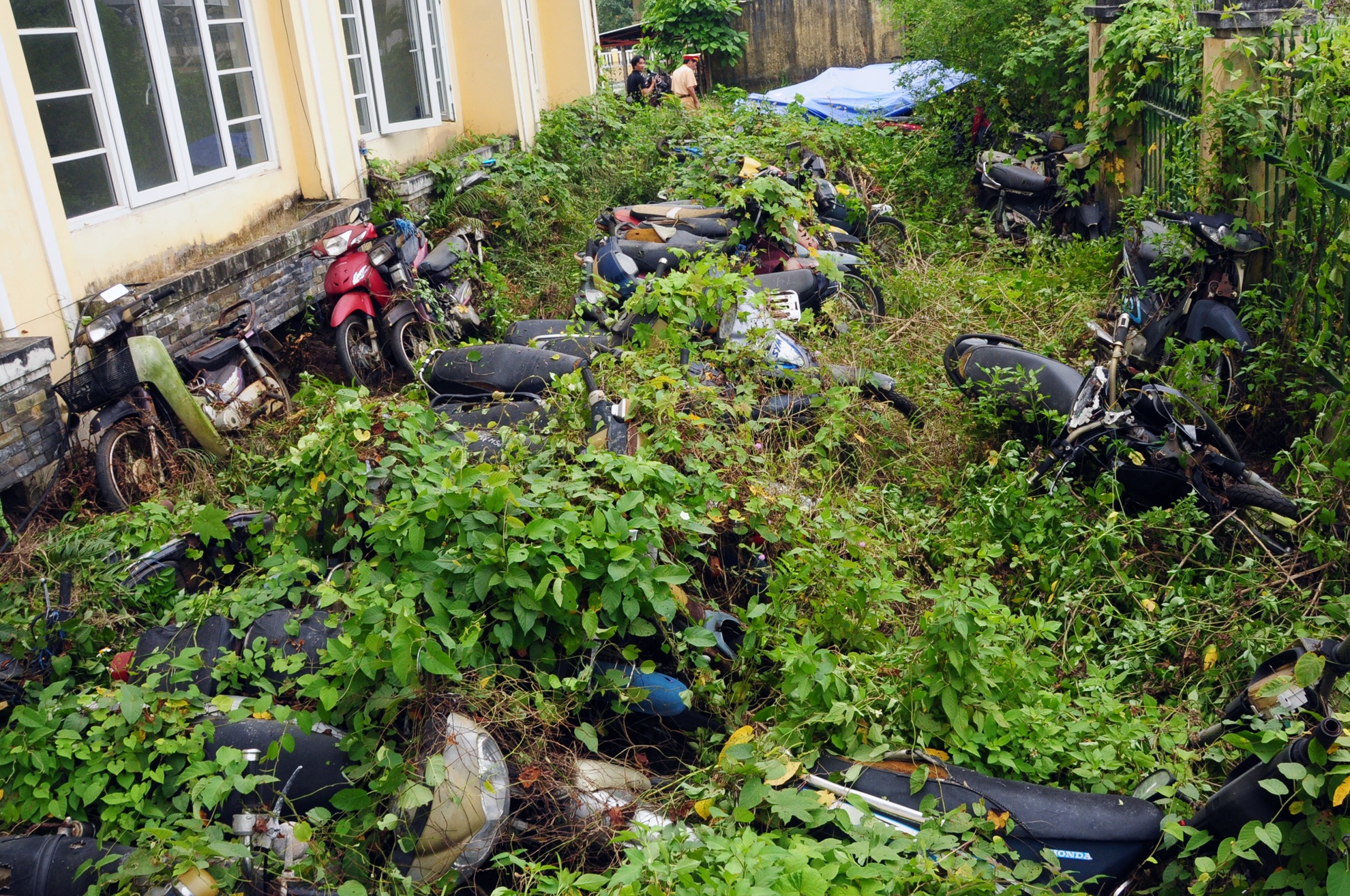 Hang nghin xe may phoi mua nang, day leo quan kin hinh anh