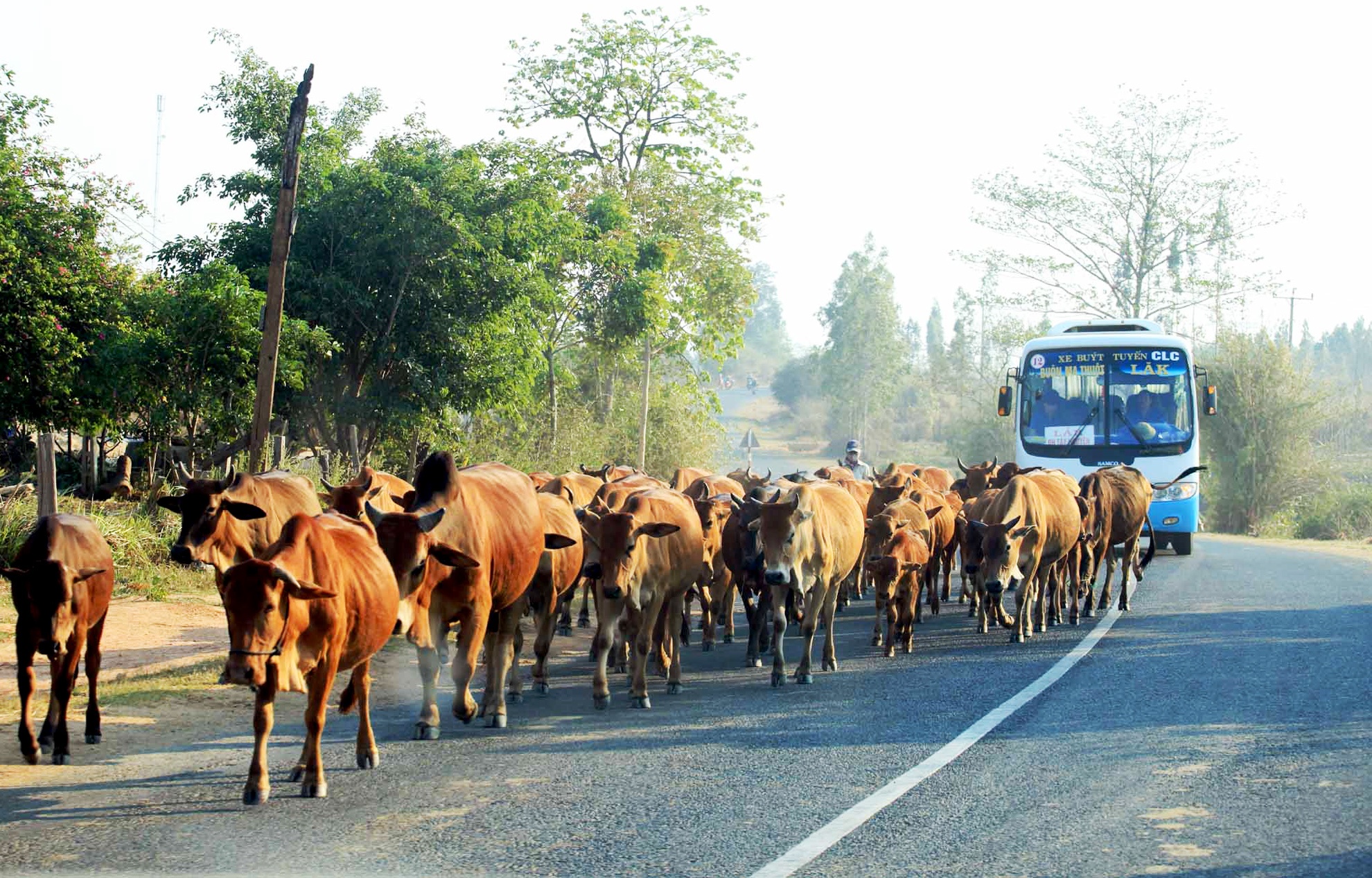 Video bo can tro oto tren quoc lo 27 hinh anh