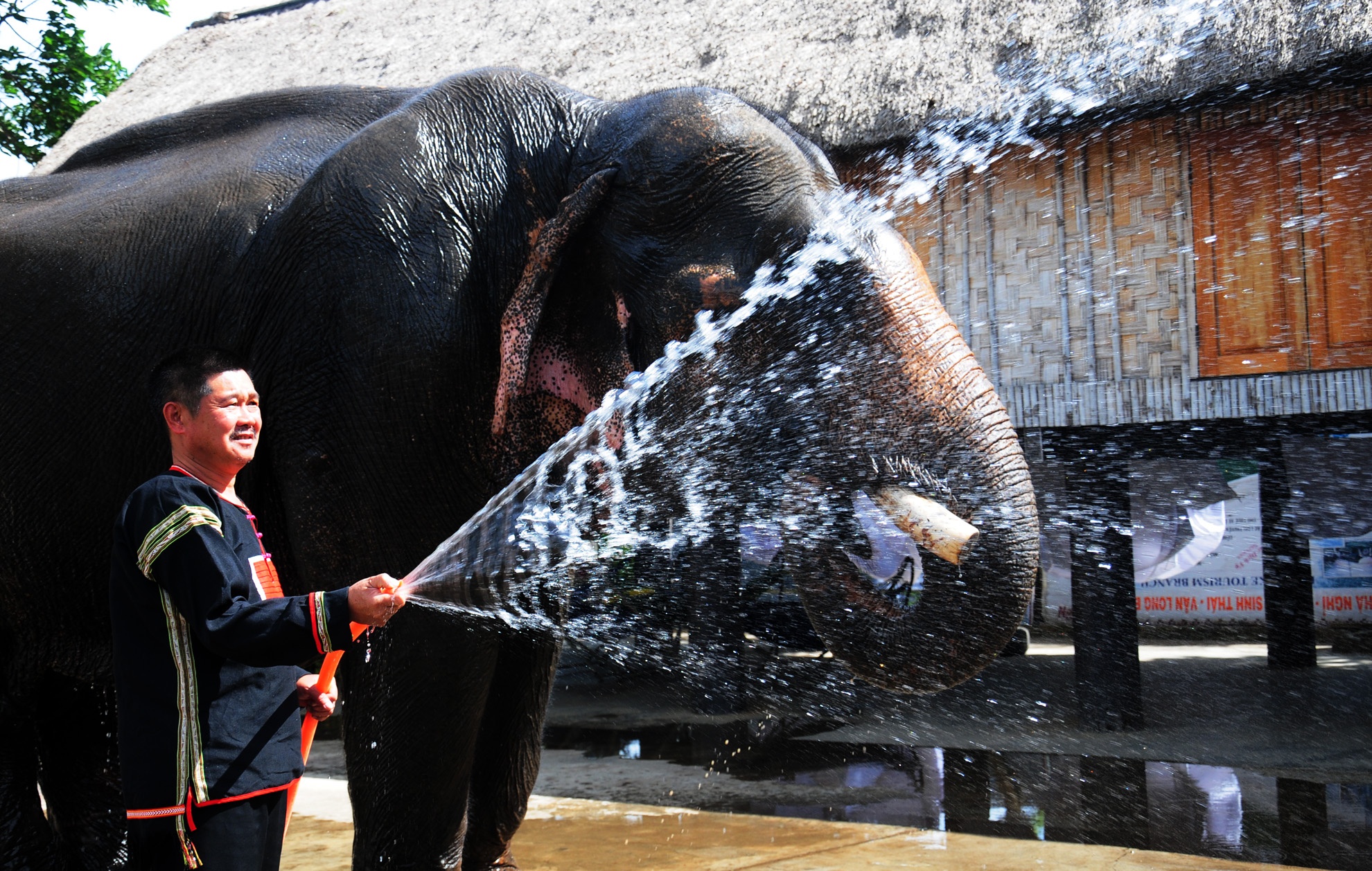 Cuu giam doc thuan duong voi rung thanh voi nha hinh anh