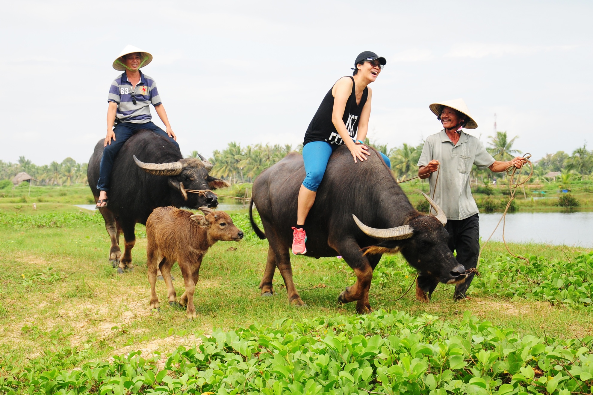 Du khach cuoi trau, cay ruong o Hoi An hinh anh