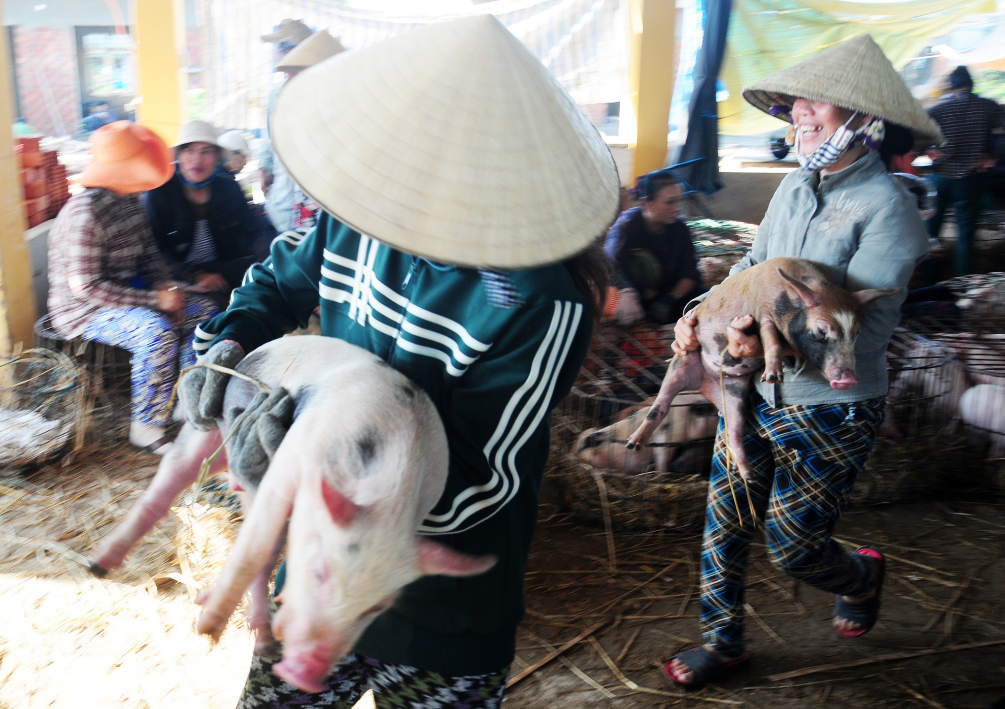 Nhoc nhan nghe bong heo thue hinh anh