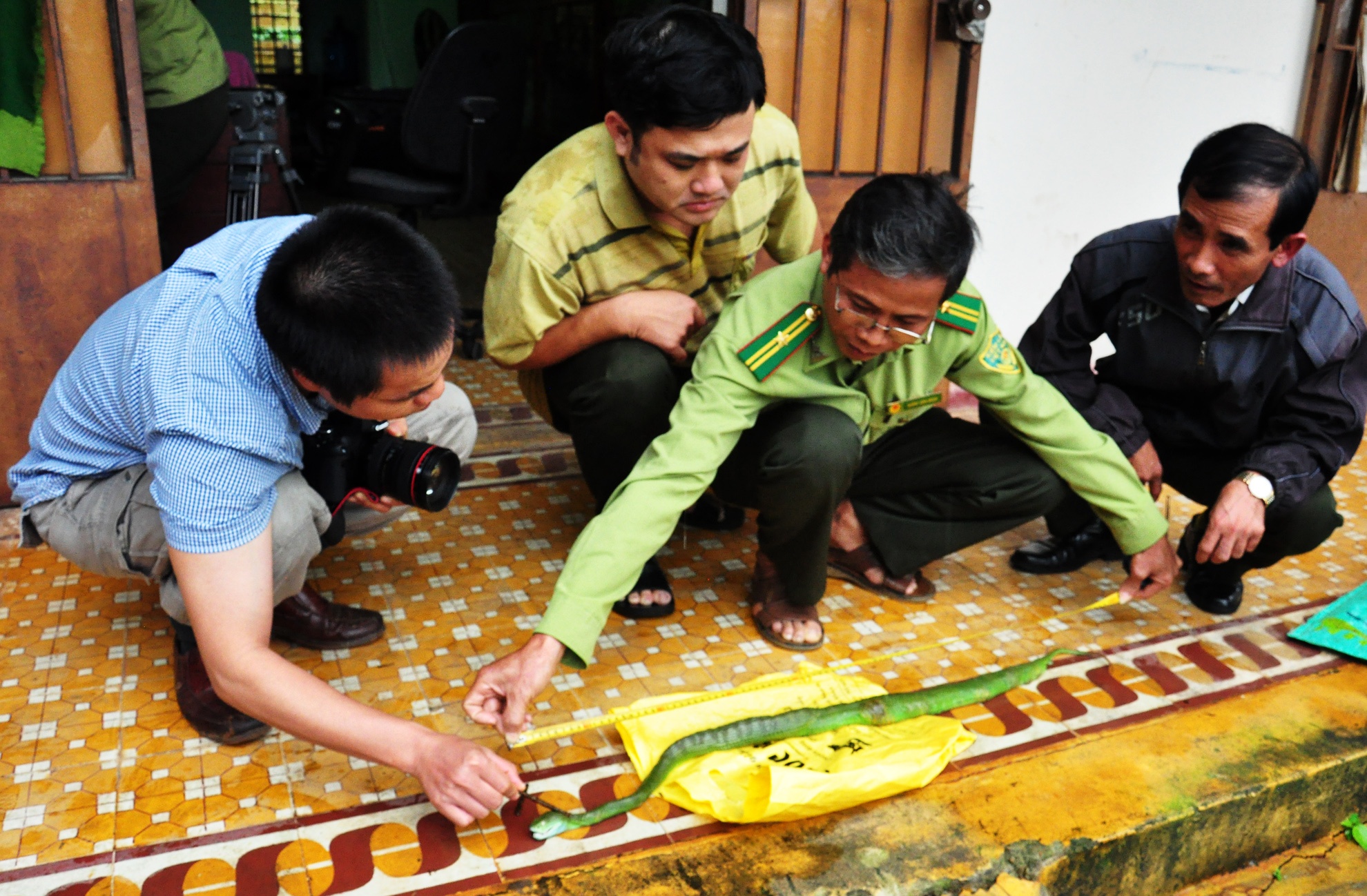 Ran luc duoi do trong tu thuoc can nu duoc si nhap vien hinh anh