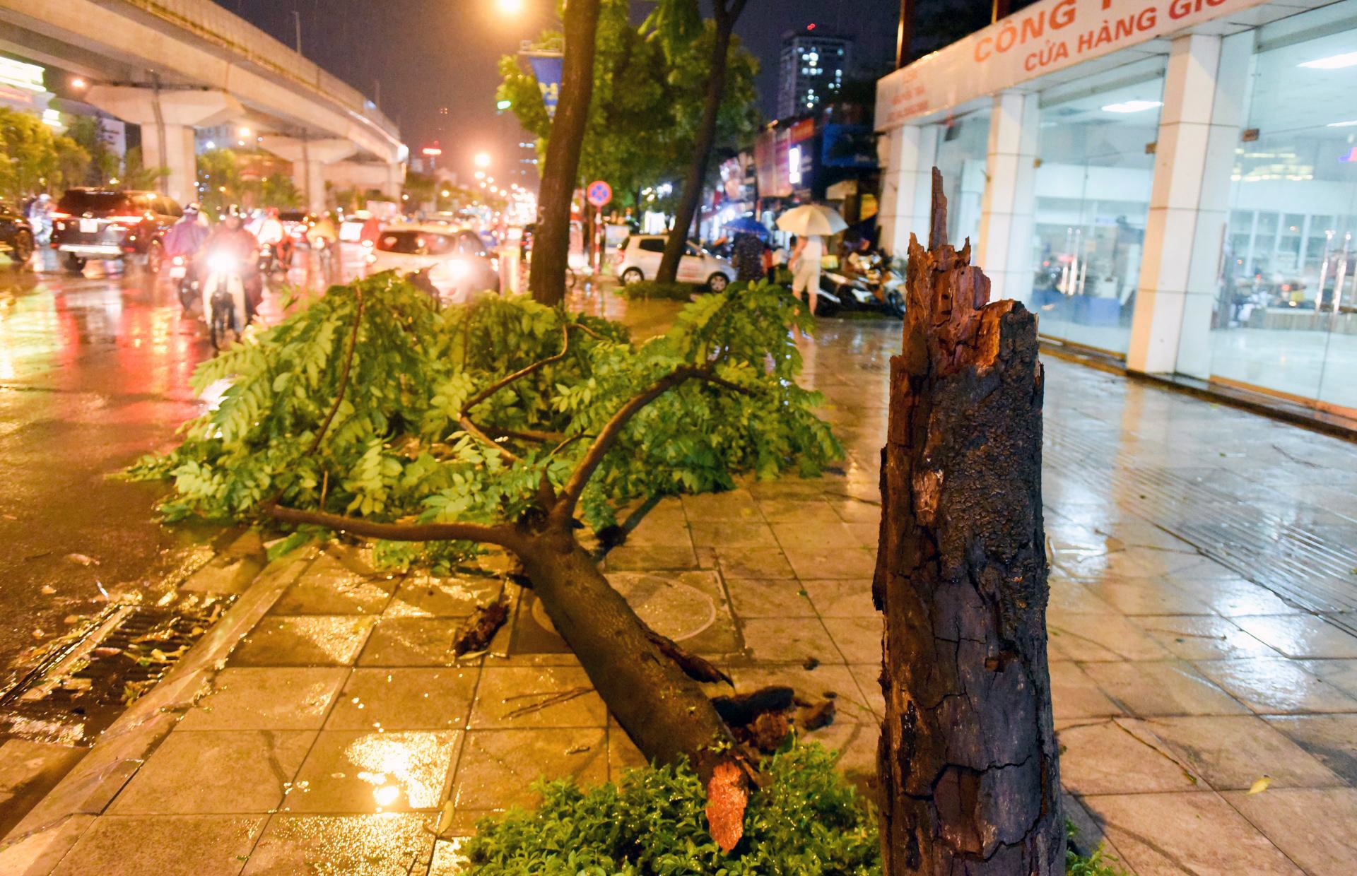 giong loc o Ha Noi anh 8