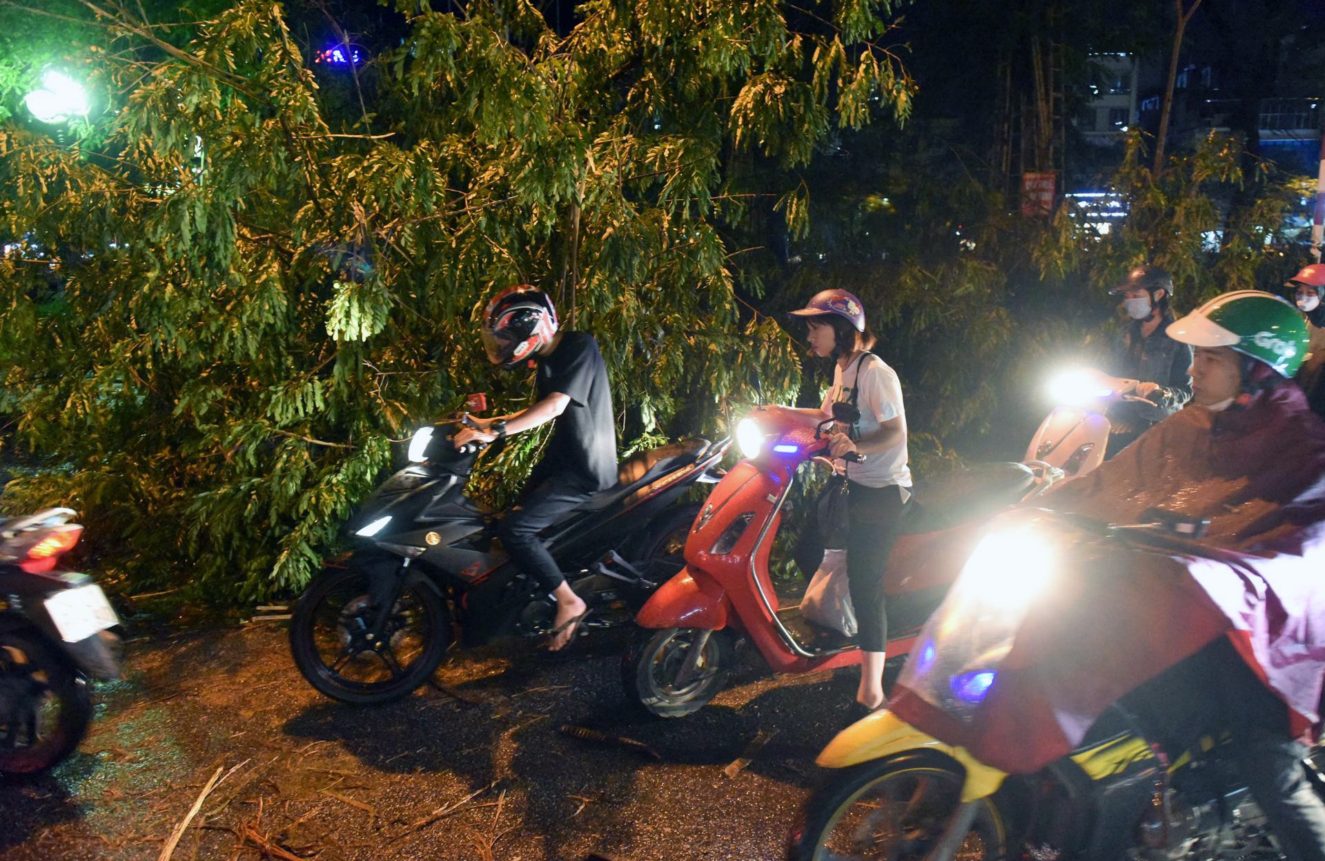 giong loc o Ha Noi anh 7