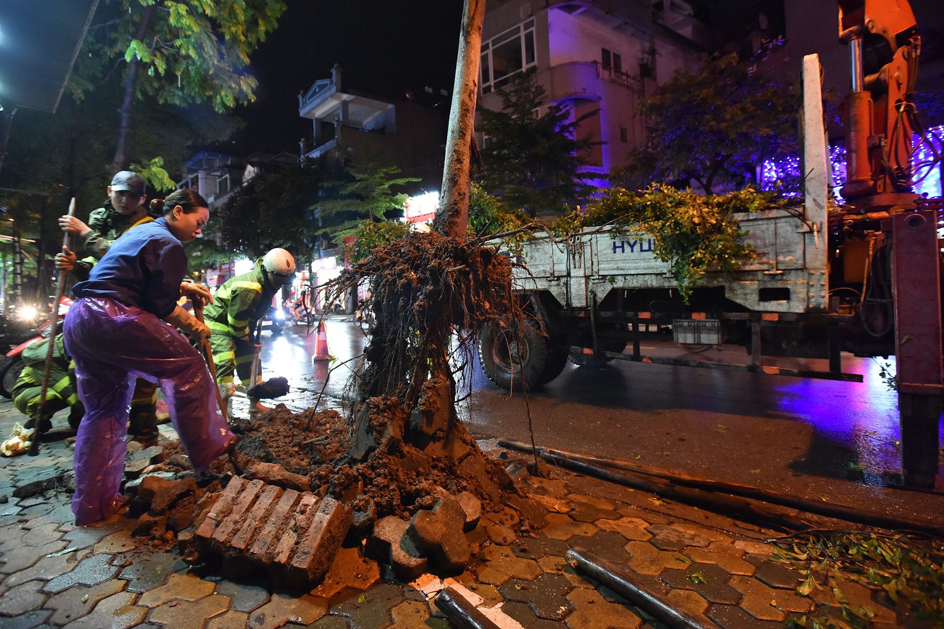 giong loc o Ha Noi anh 12