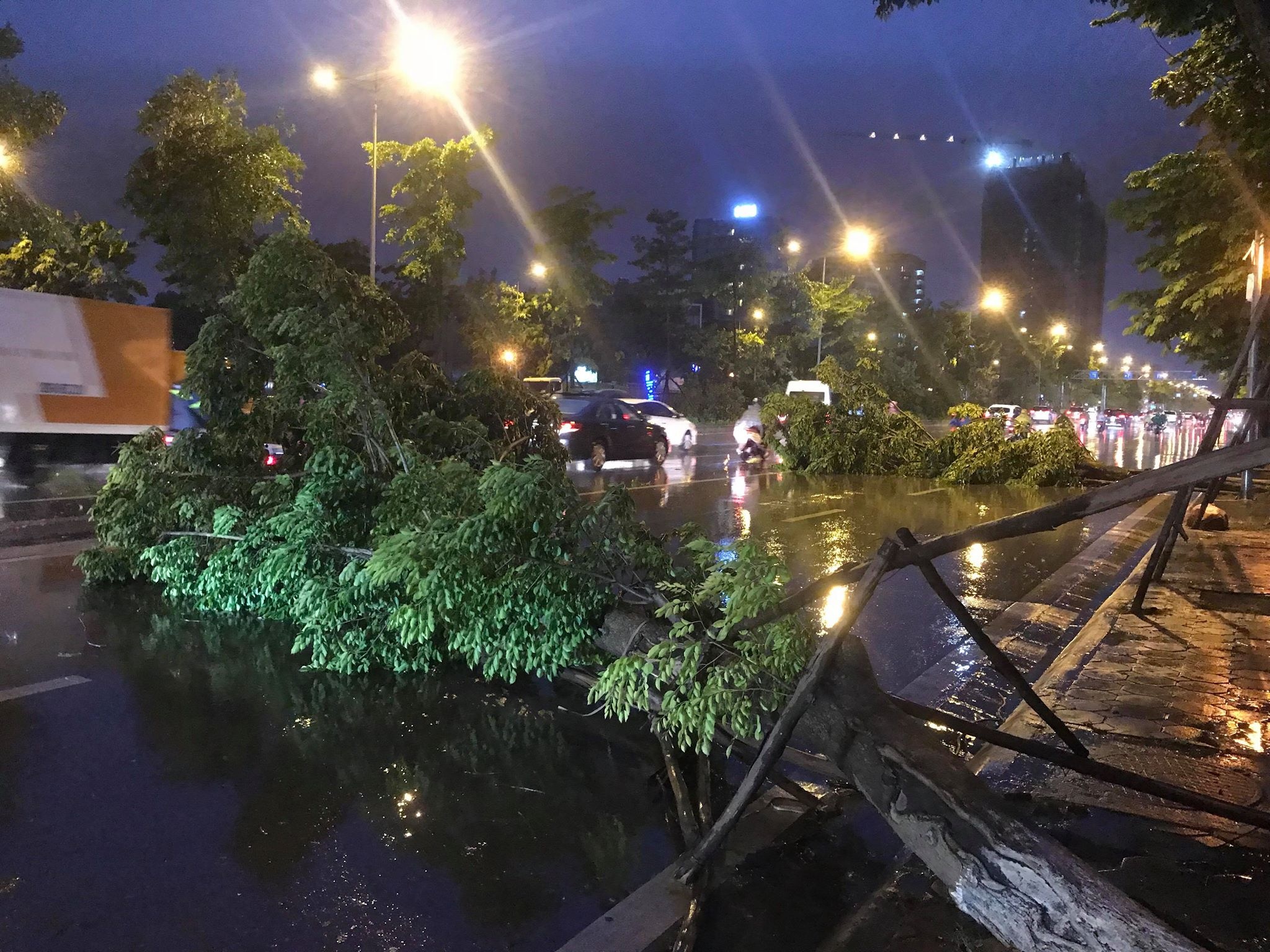 giong loc o Ha Noi anh 9