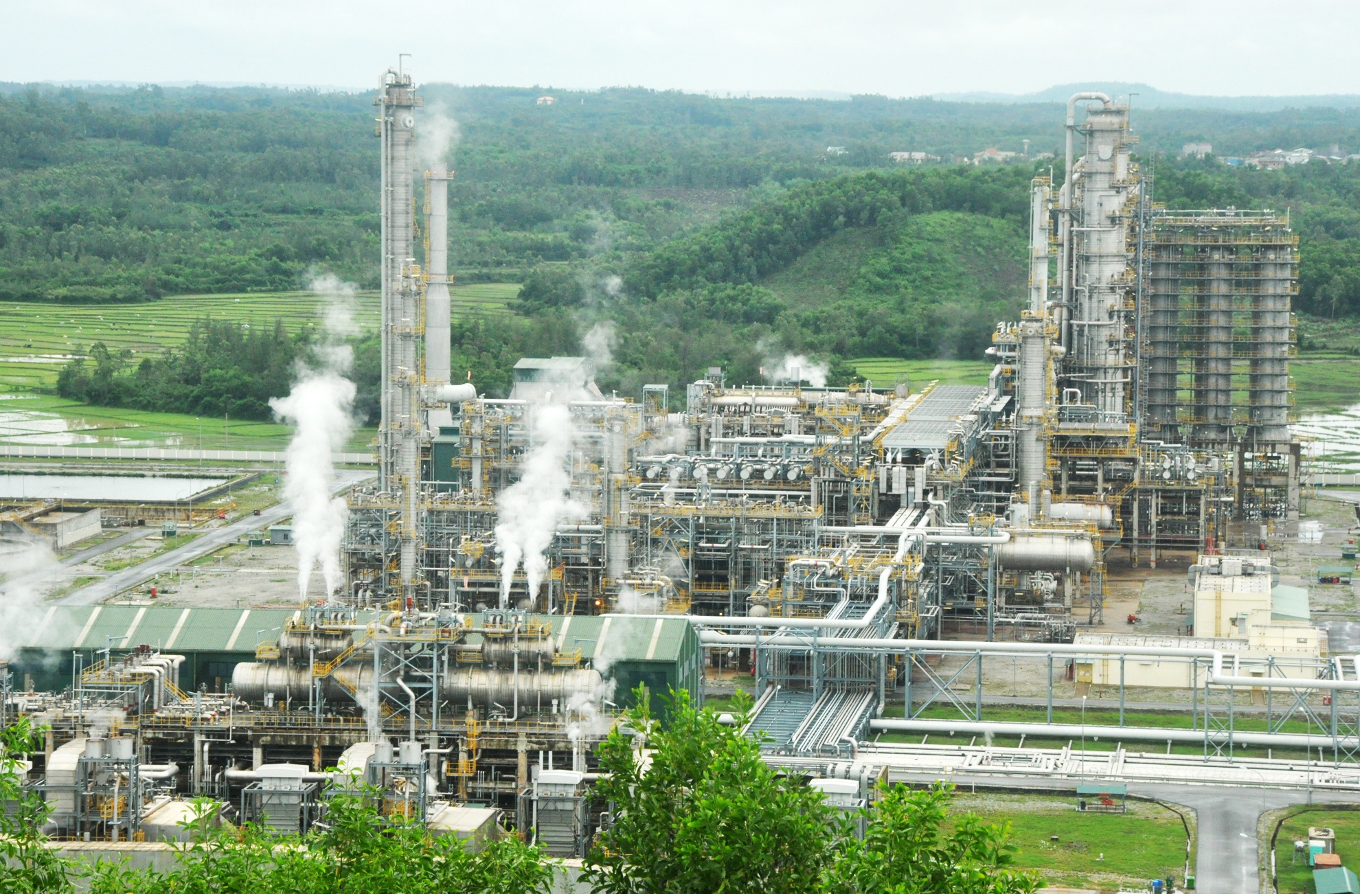 Thue tu van co phan hoa nha may loc dau Dung Quat hinh anh