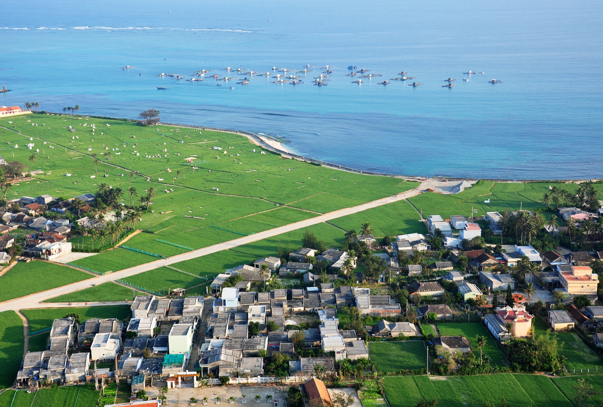 Lap khu bao ton bien gan 8.000 ha o dao Ly Son hinh anh