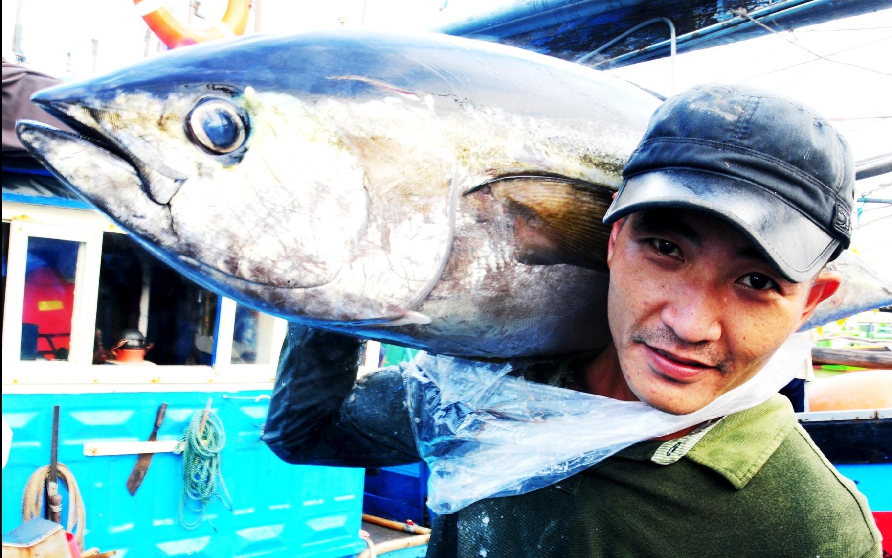 Ngu dan trung dam me ca ngu dai duong hinh anh