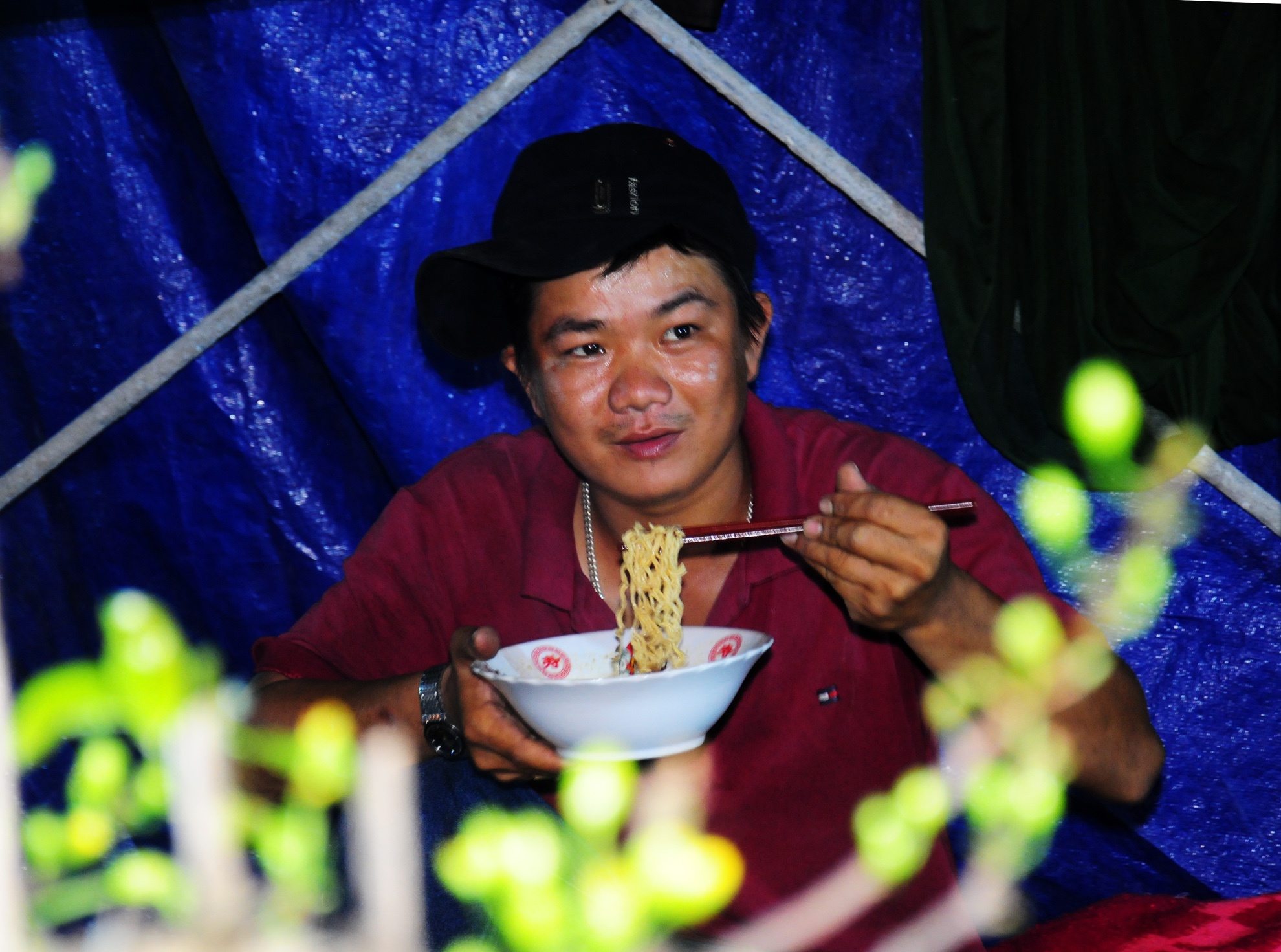 Dung leu bat ven quoc lo 1 ban hoa mai Tet hinh anh