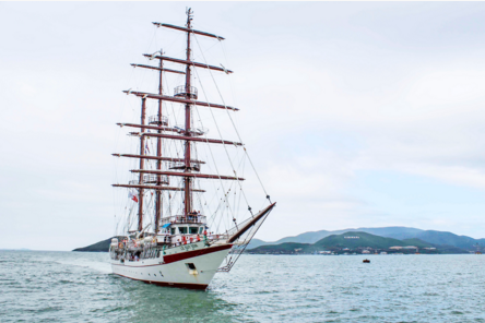 Can canh tau buom huan luyen cua Hai quan Viet Nam hinh anh