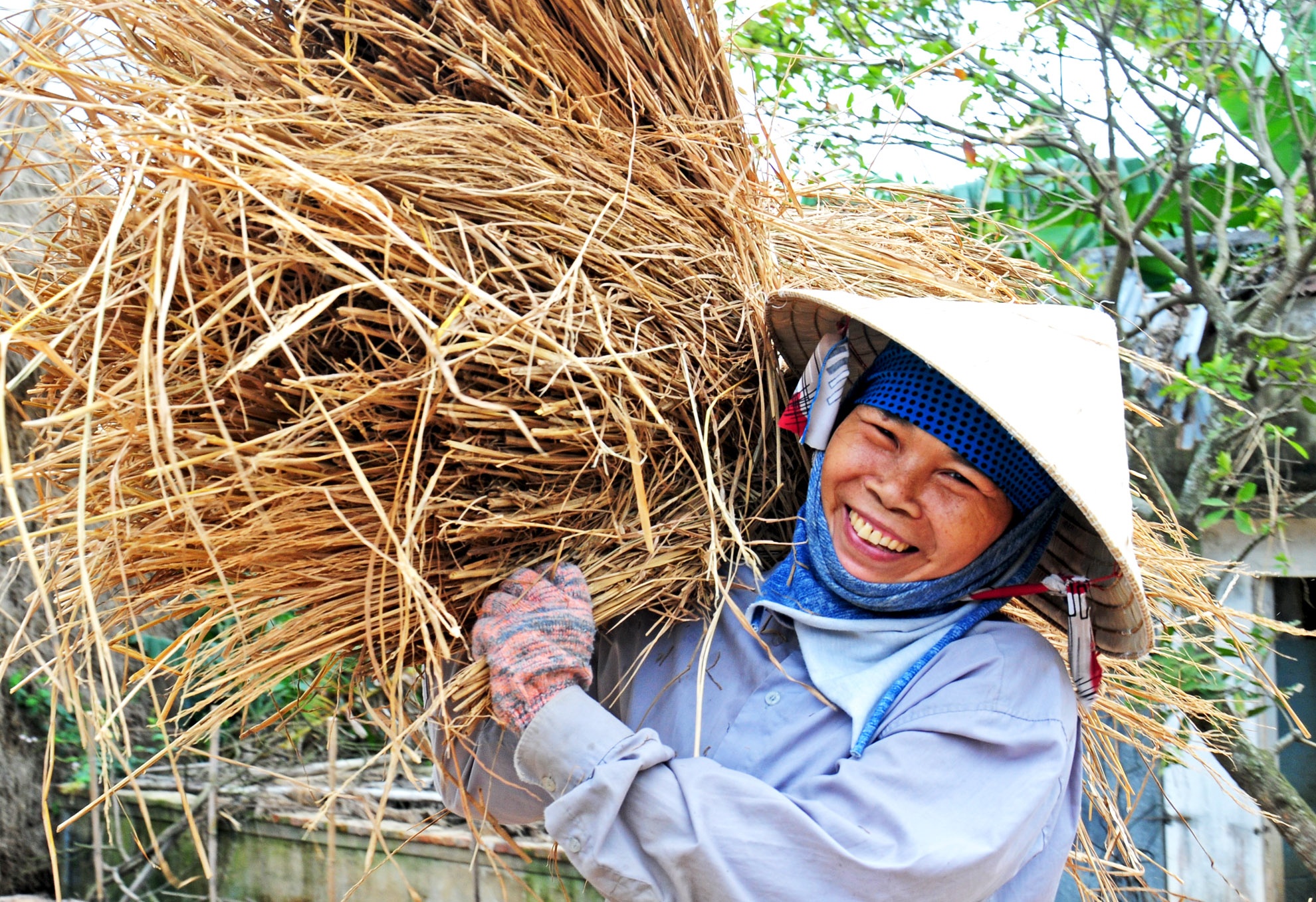 Lang 'buon ban rom ra' thu nhap kha ngay giap Tet hinh anh