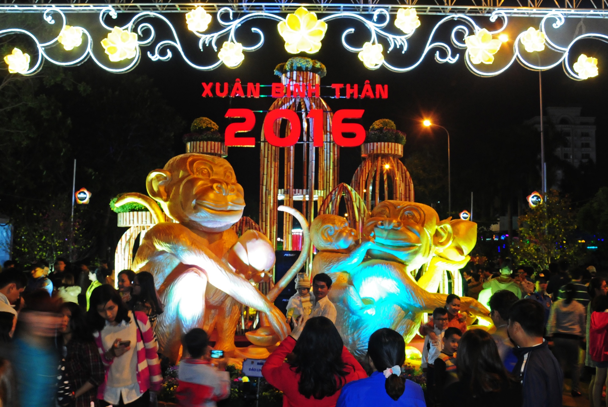 Linh vat khi am ap o duong hoa chu quyen bien dao Binh Dinh hinh anh