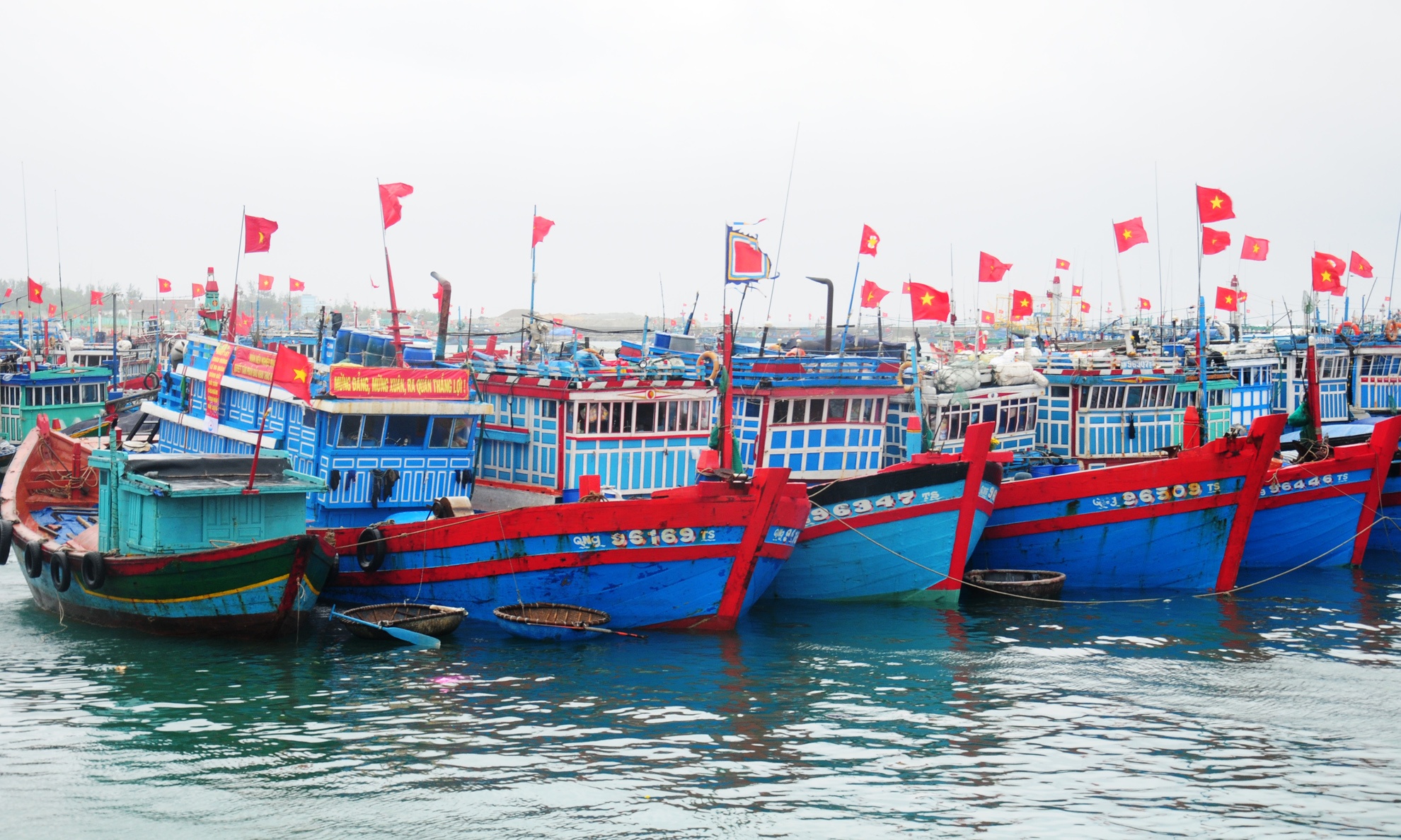 Hang nghin ngu dan Quang Ngai tam hoan chuyen bien dau nam hinh anh