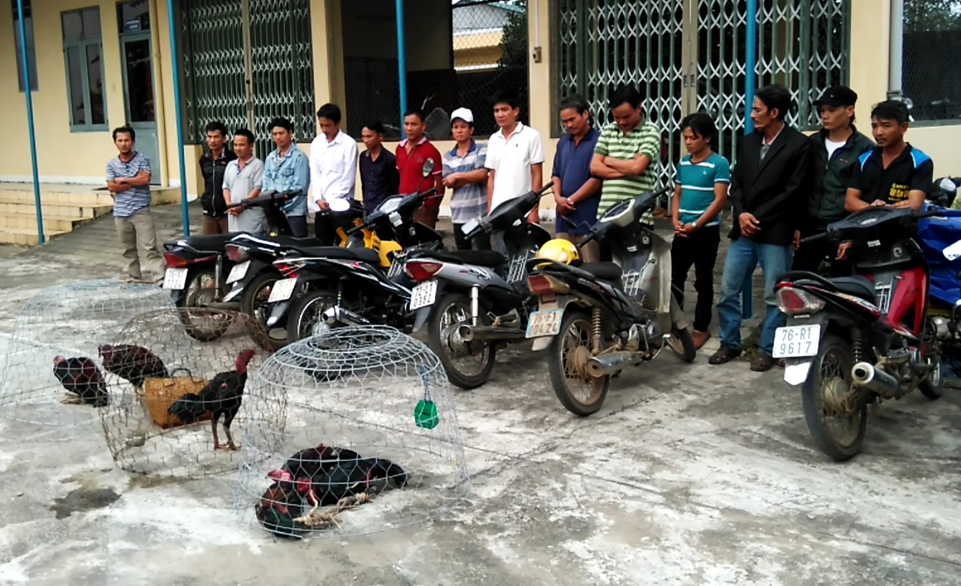 Quang Ngai triet pha nhieu soi bac lon sau Tet hinh anh