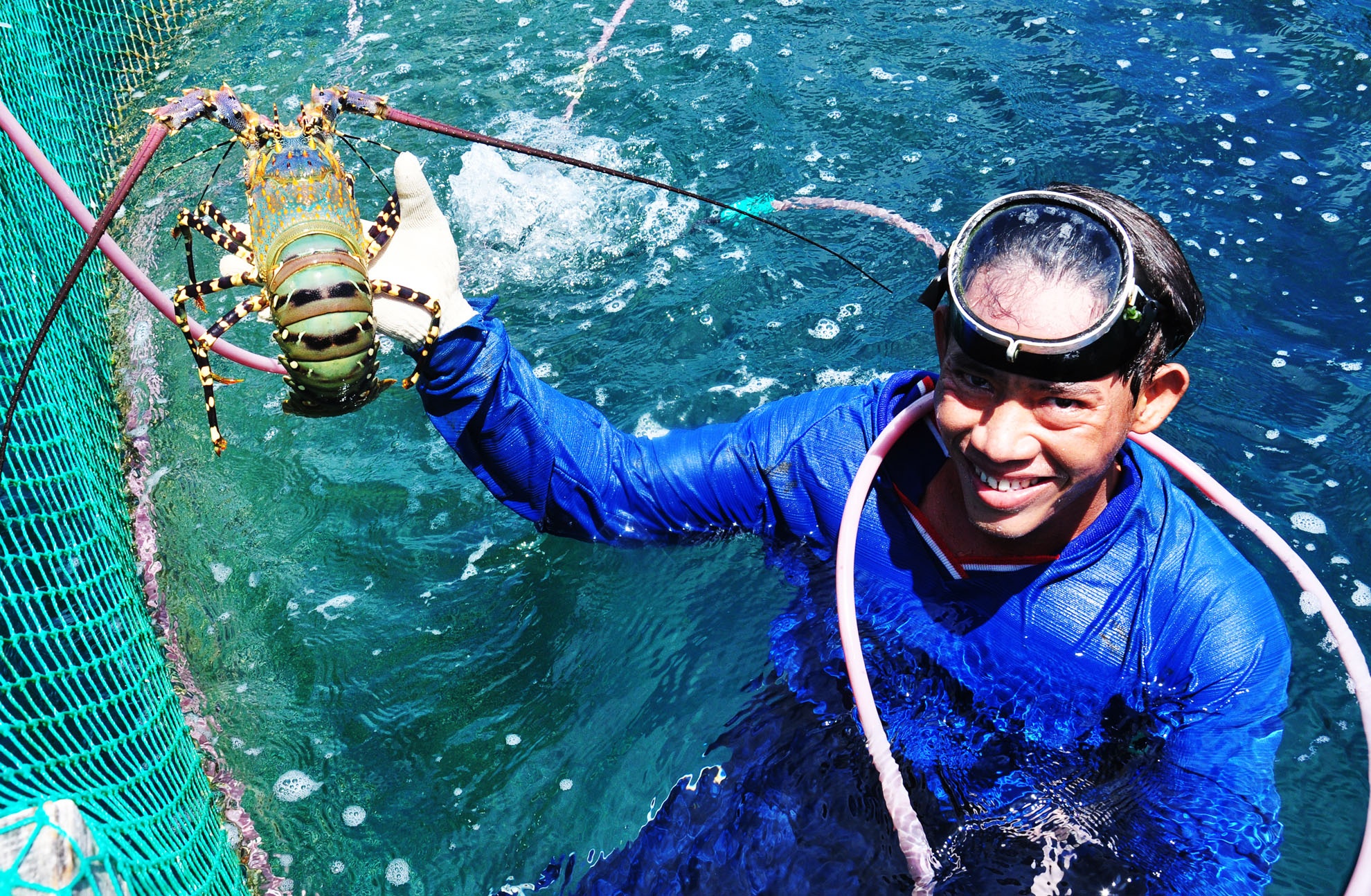Hai du an cong nghe cao rot hang tram ty dong vao Binh Dinh hinh anh