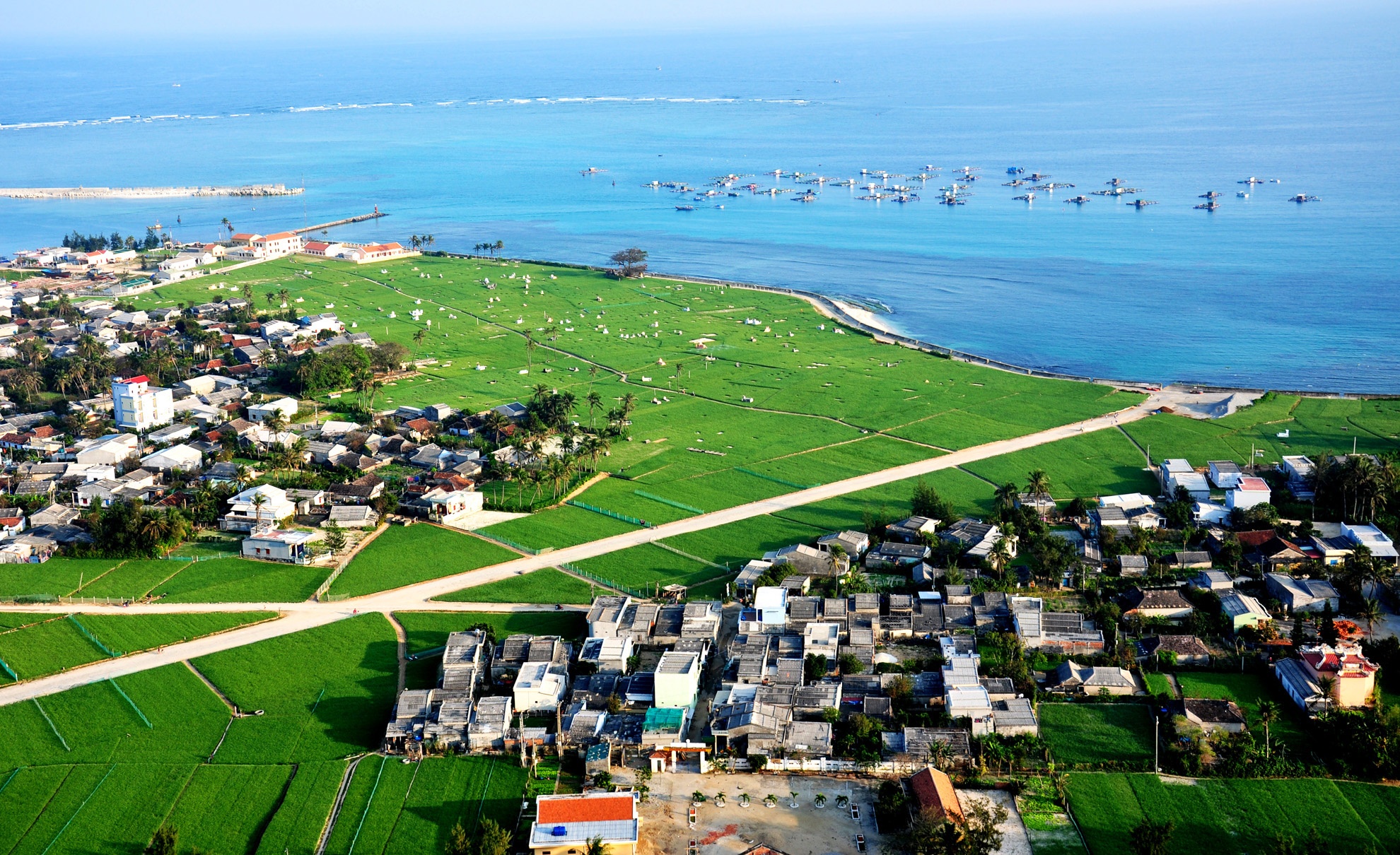 Moi chuyen gia Nhat Ban quy hoach dao Ly Son hinh anh