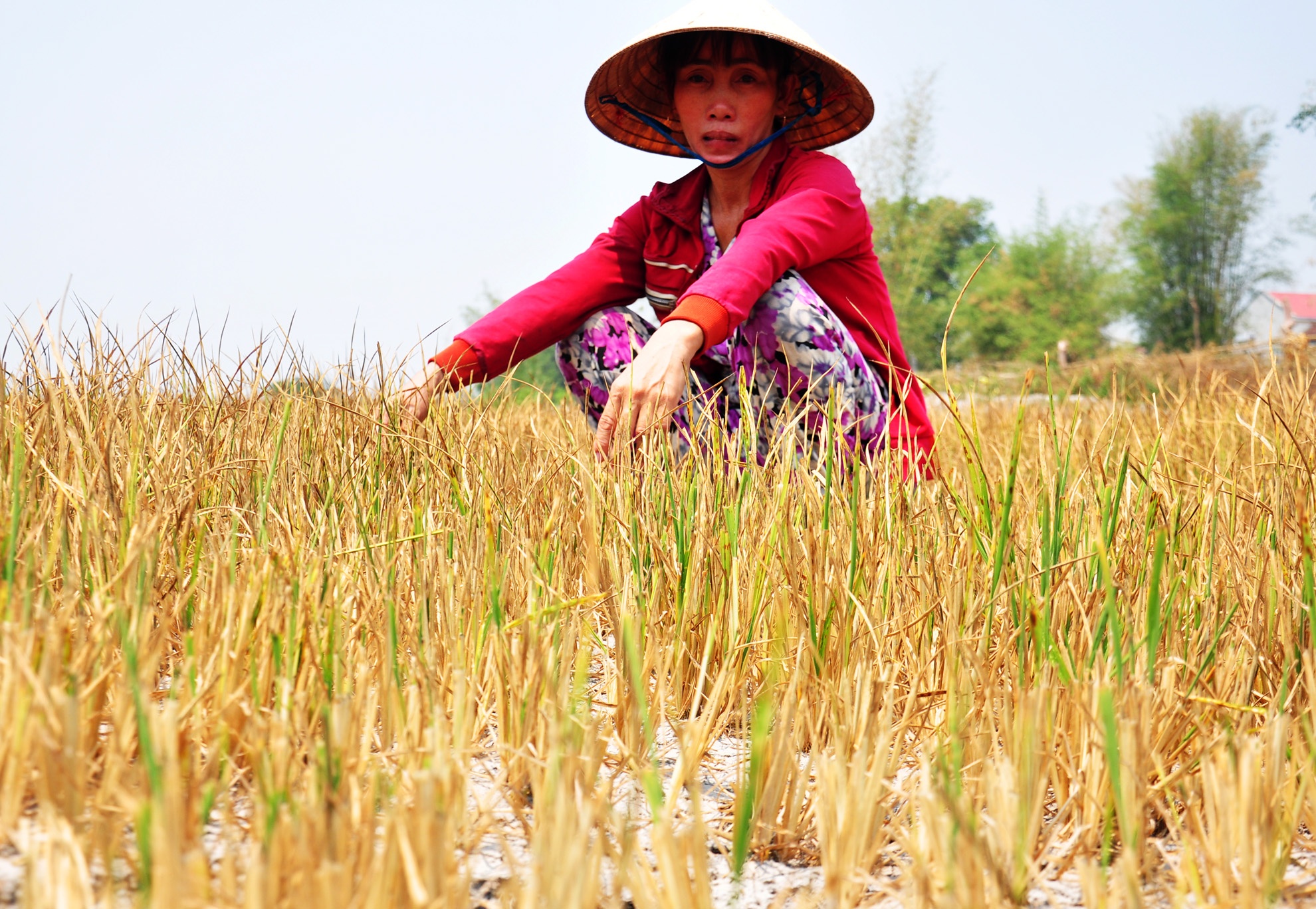 Dan Kon Tum do xo dao ao, khoan gieng chong han hinh anh