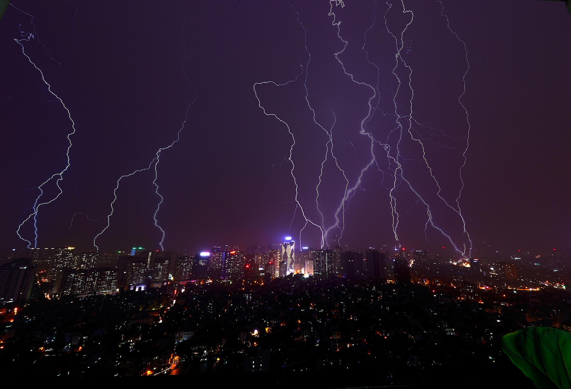 Mua lon cung sam set trut xuong, duong Ha Noi ngap hinh anh