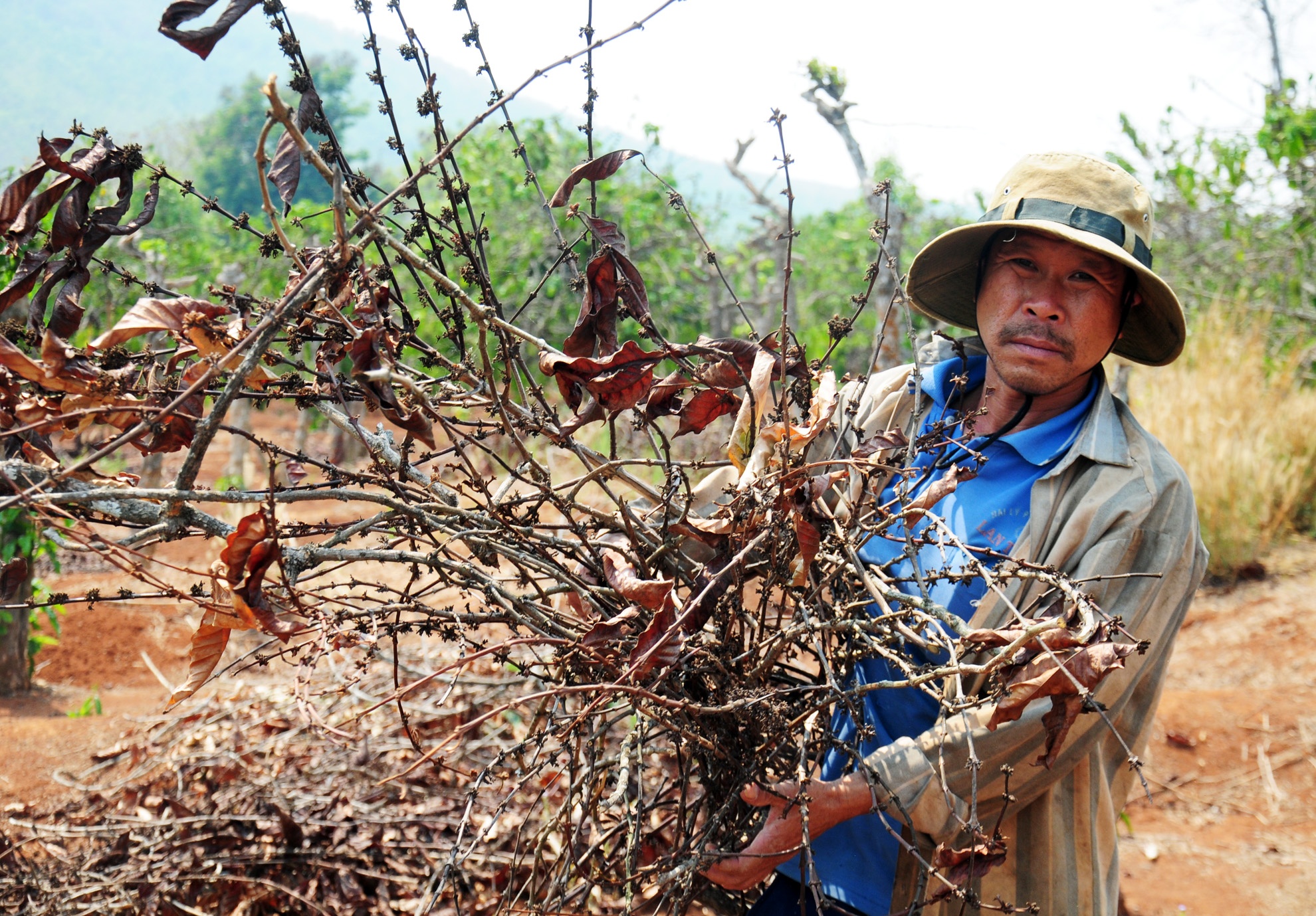 Kon Tum canh bao chay rung vi kho han hinh anh
