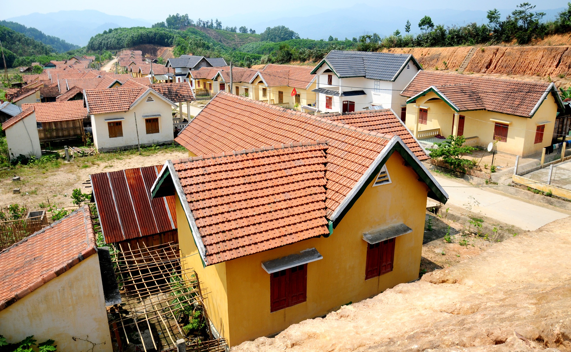 Lang biet thu o Quang Ngai doi dien nguy co doi ngheo hinh anh