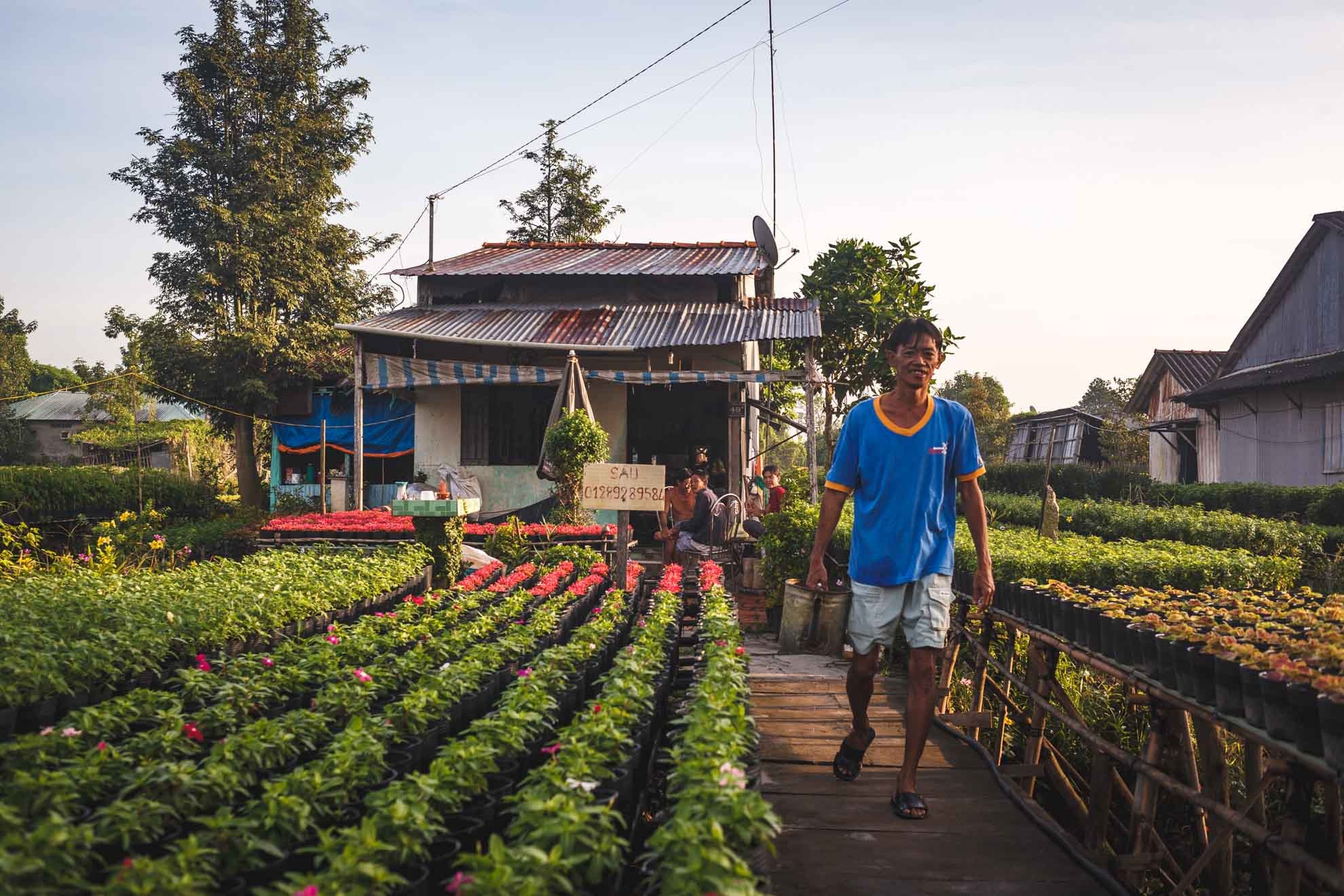 lang hoa sa dec,  tet dinh dau,  lang hoa tan quy dong anh 11