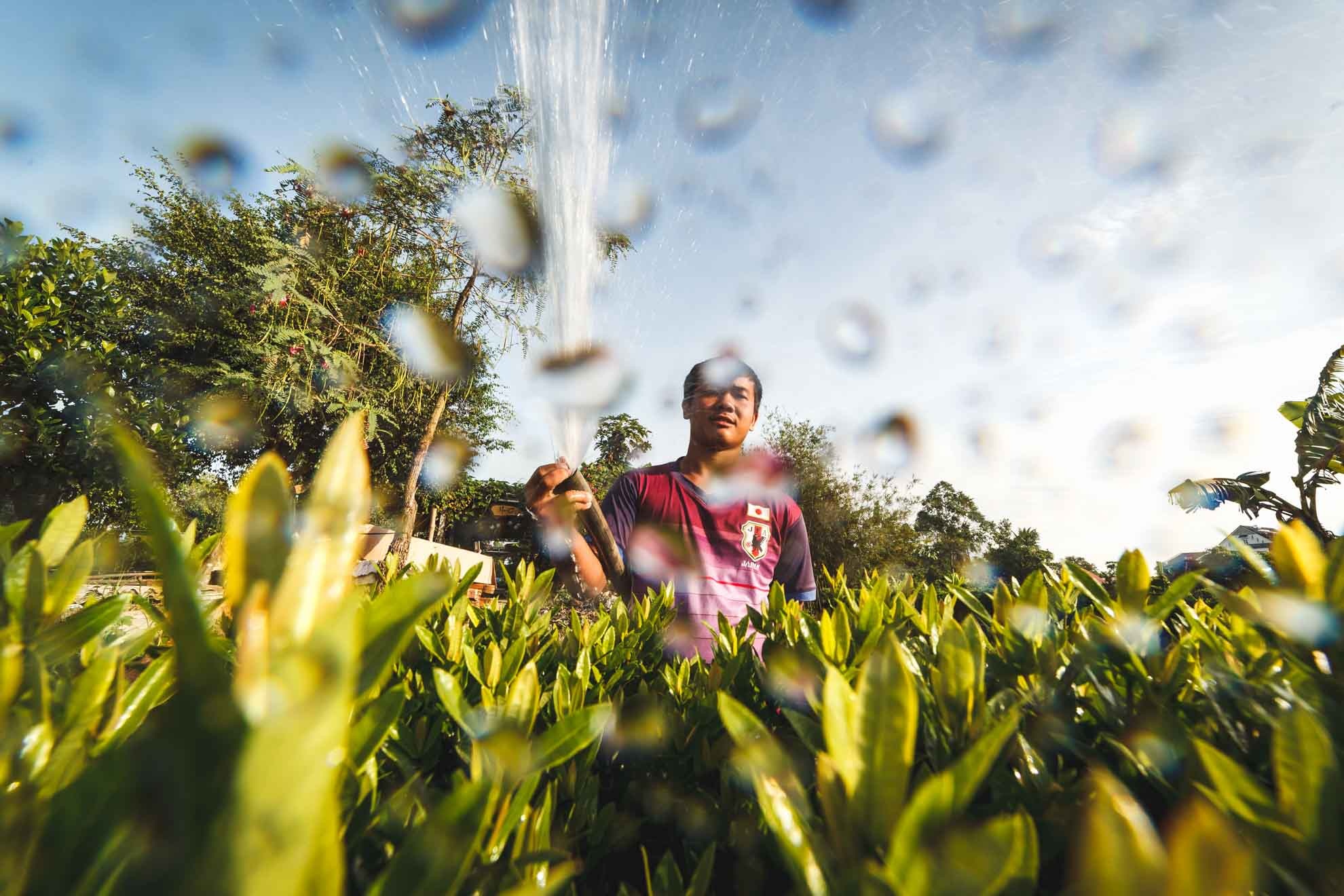 lang hoa sa dec,  tet dinh dau,  lang hoa tan quy dong anh 4