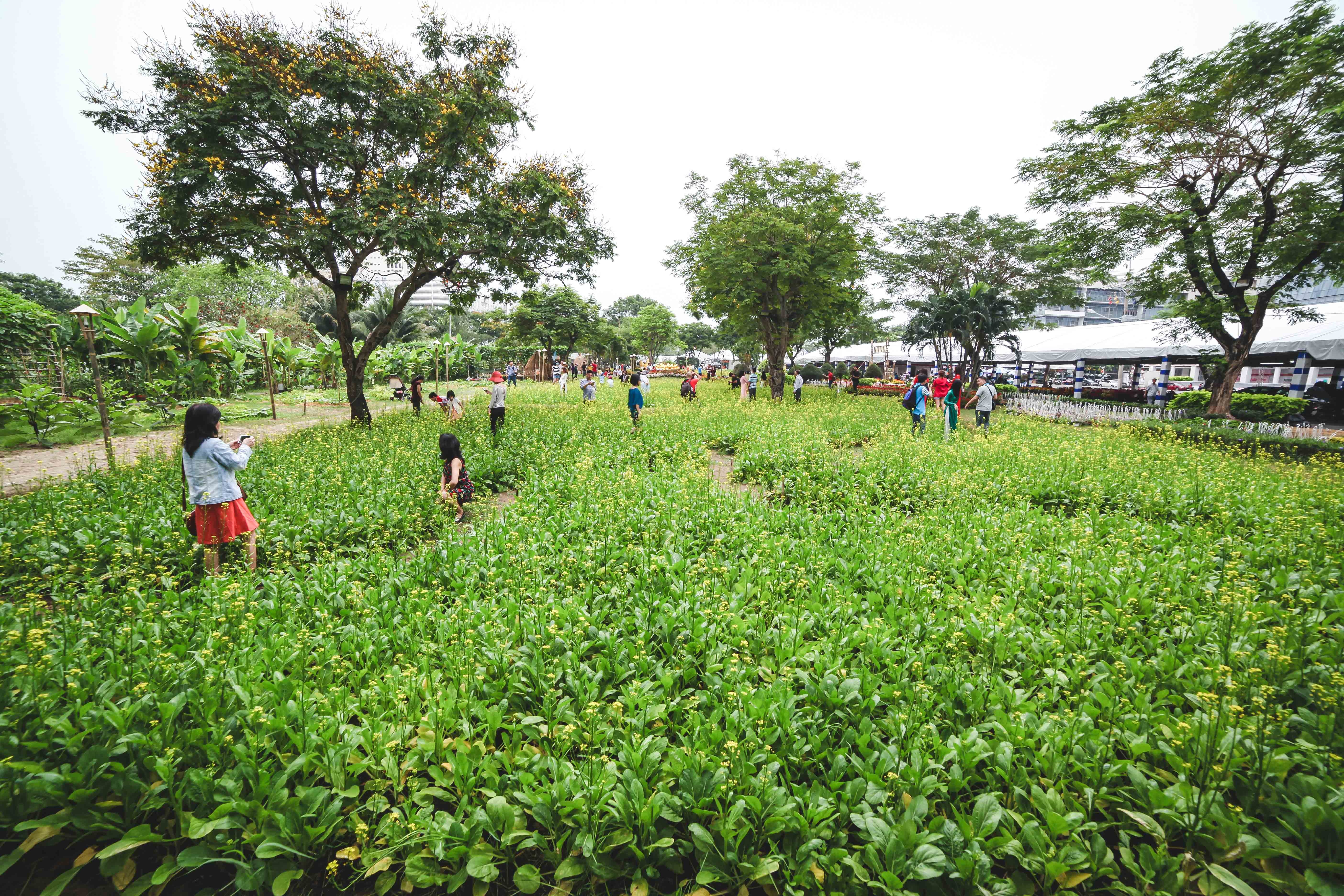 Hoi hoa xuan o pho nha giau Phu My Hung anh 5