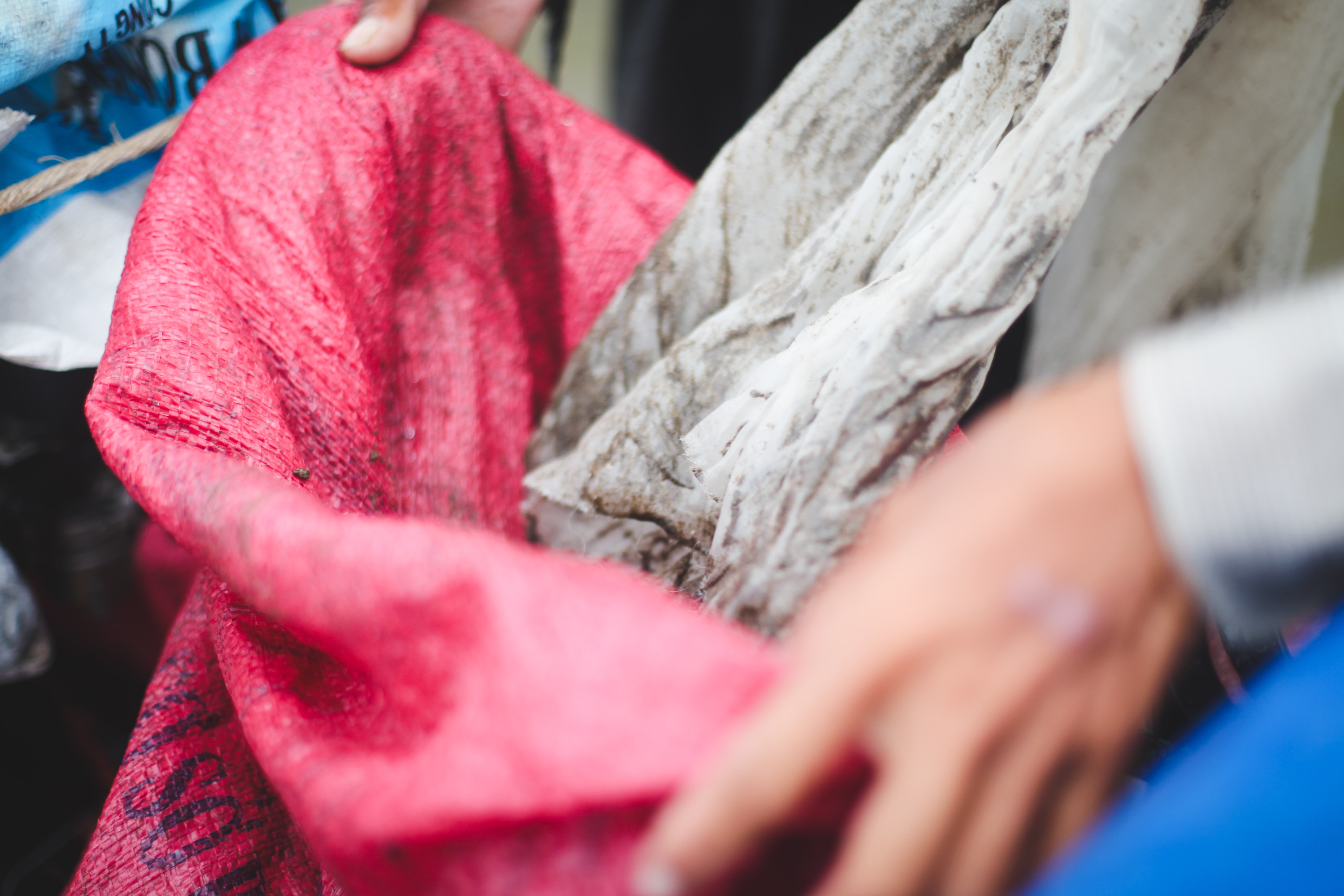 cao ngheu,  ben tre,  lang nghe,  nong dan,  bo bien,  thanh phu,  nghe nghiep,  ngheu anh 9