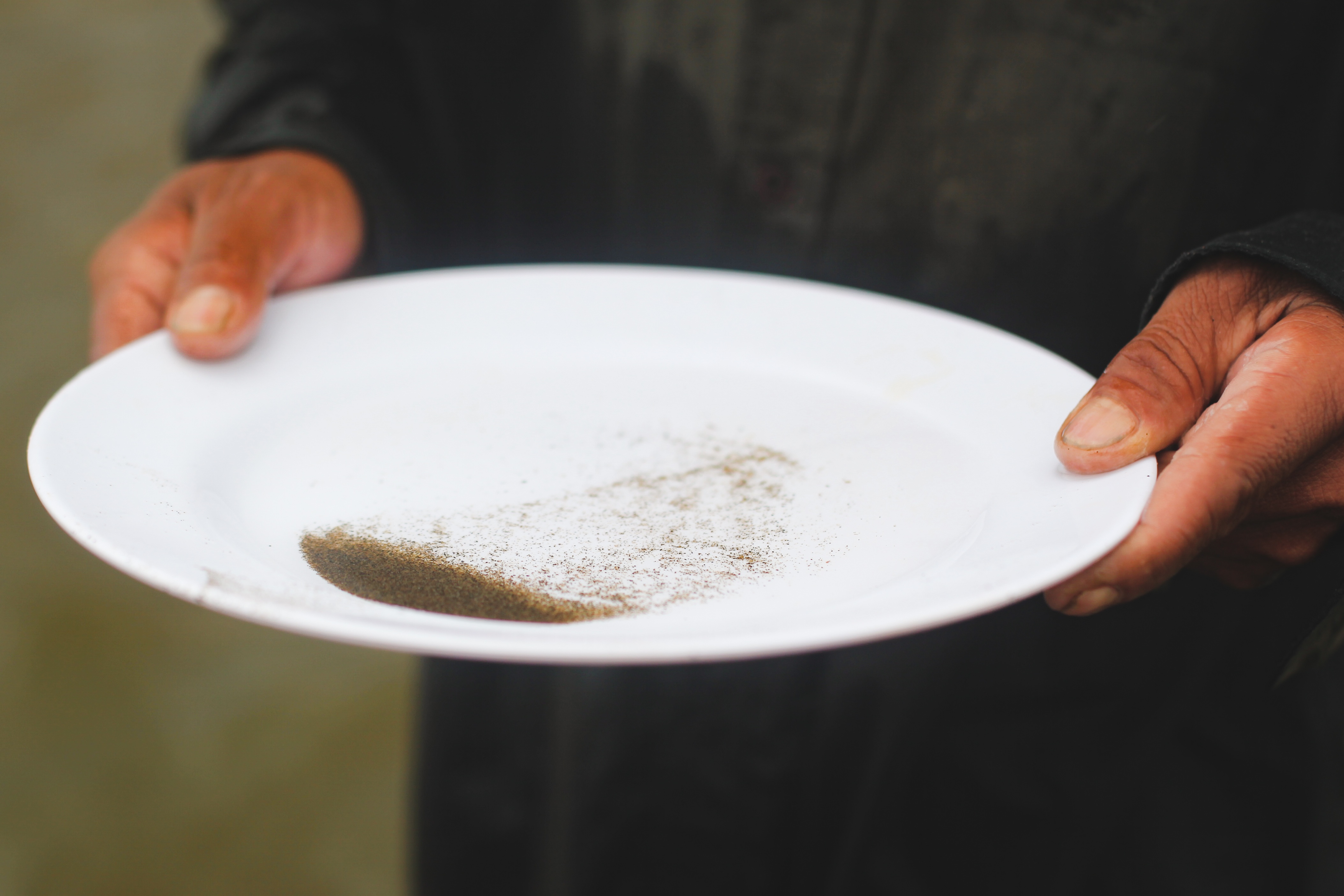 cao ngheu,  ben tre,  lang nghe,  nong dan,  bo bien,  thanh phu,  nghe nghiep,  ngheu anh 10