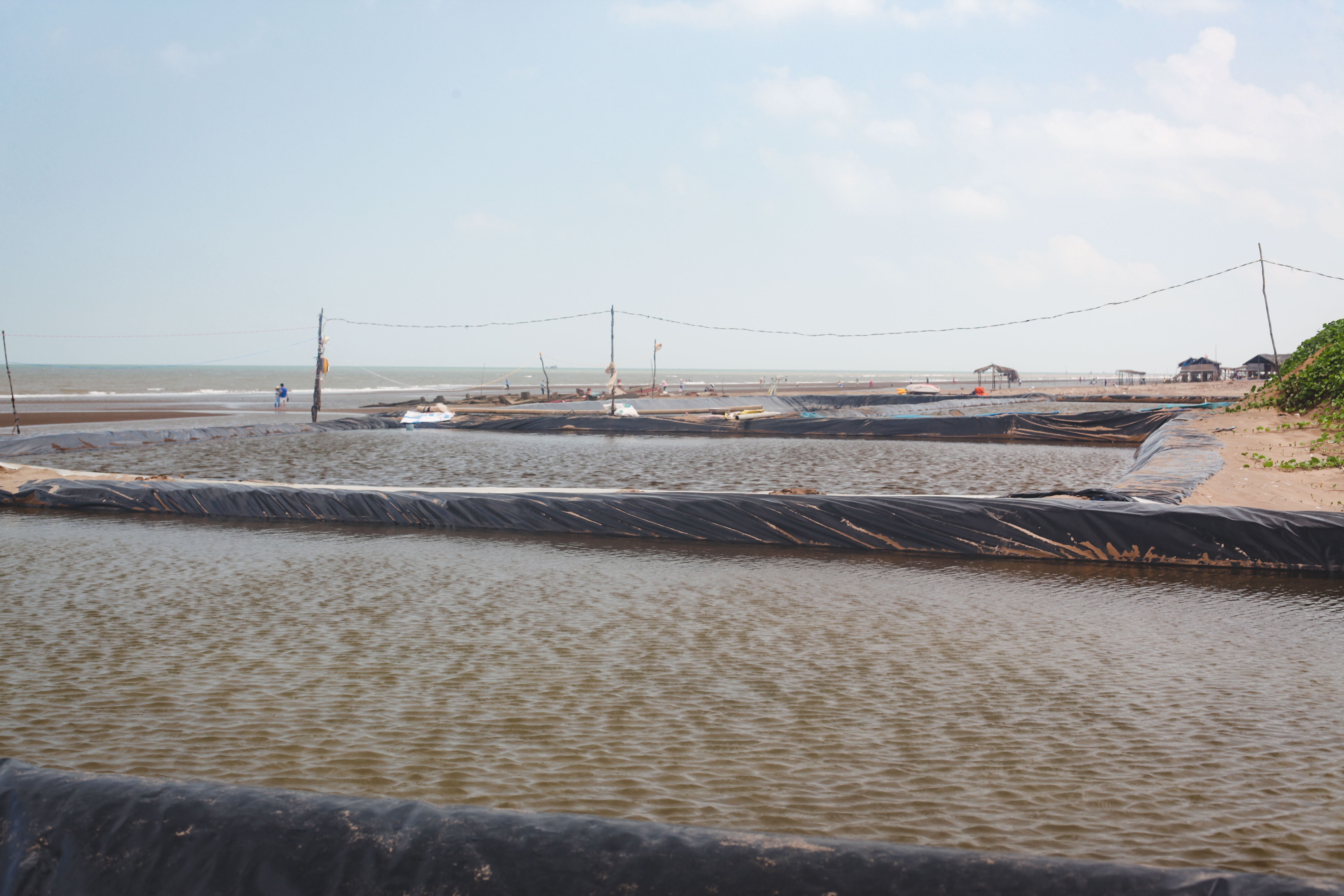 cao ngheu,  ben tre,  lang nghe,  nong dan,  bo bien,  thanh phu,  nghe nghiep,  ngheu anh 11