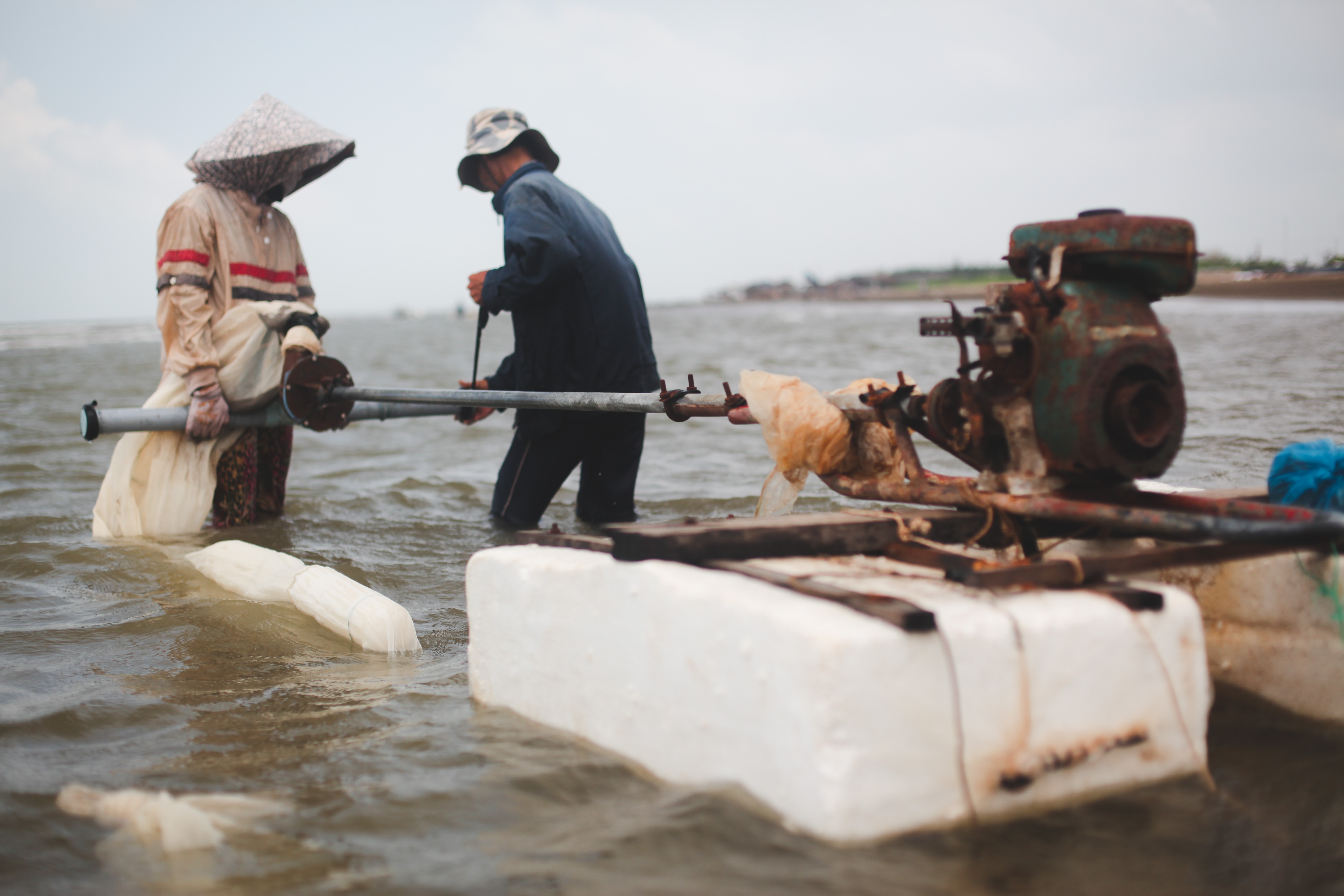 Cao ngheu bang dong co o Ben Tre hinh anh