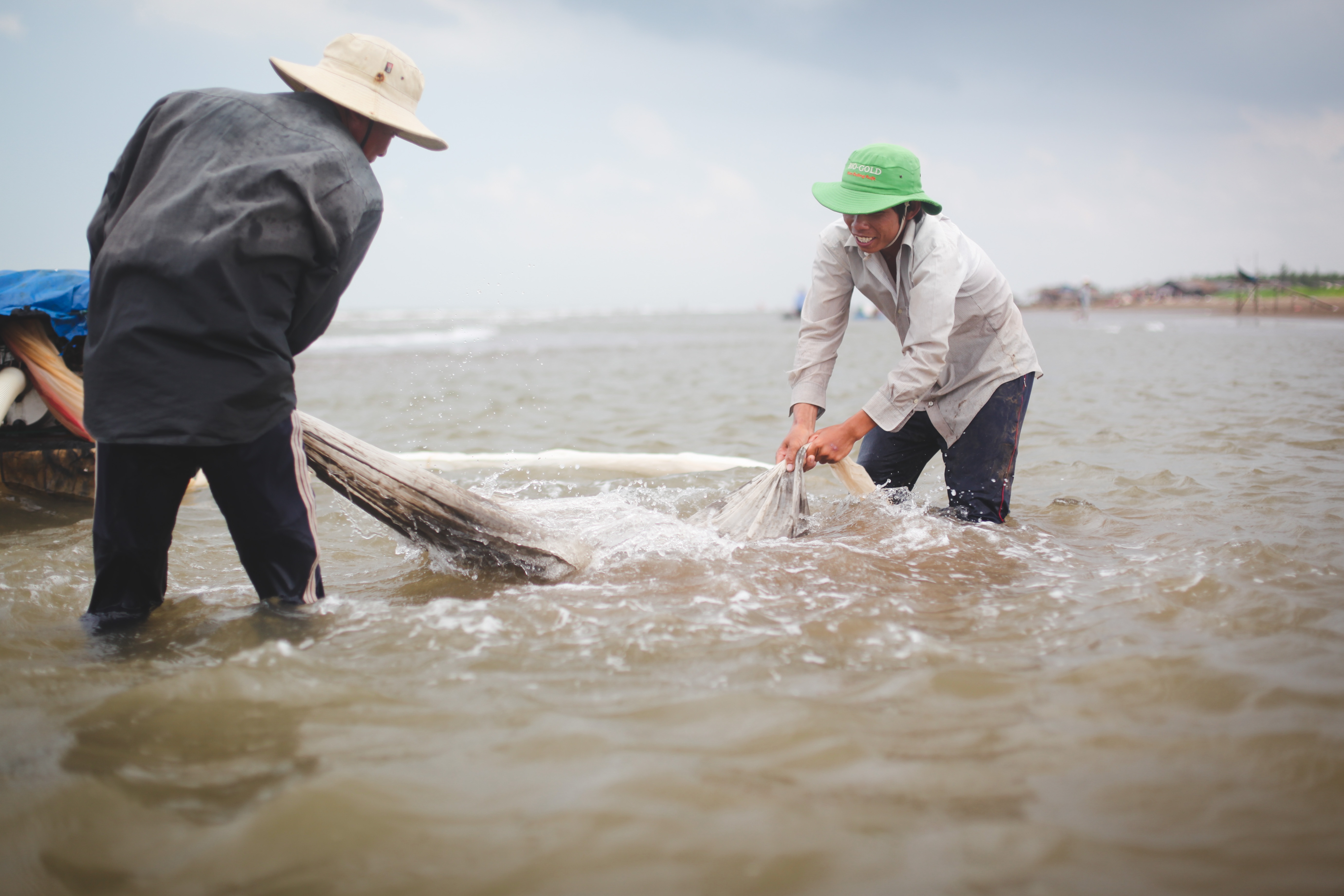 cao ngheu,  ben tre,  lang nghe,  nong dan,  bo bien,  thanh phu,  nghe nghiep,  ngheu anh 8